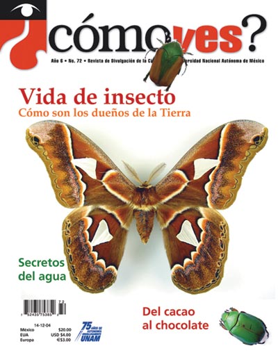 Portada número 72