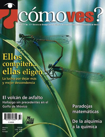 Portada número 77