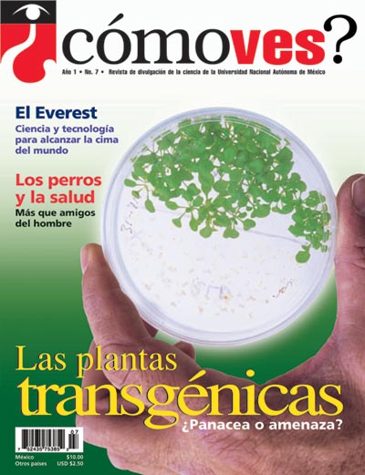 Portada número 7