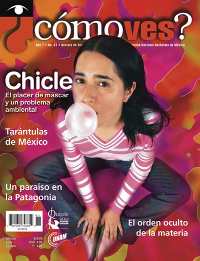 Portada número 81