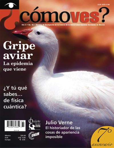 Portada número 85