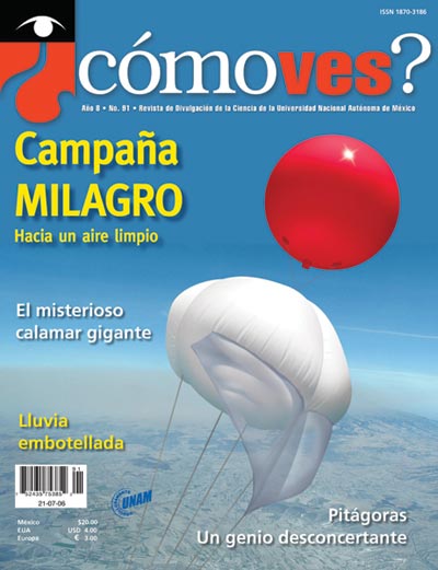 Portada número 91