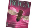 Imagen principal del artículo Kate Moss, Drosophila y otras supermodelos*