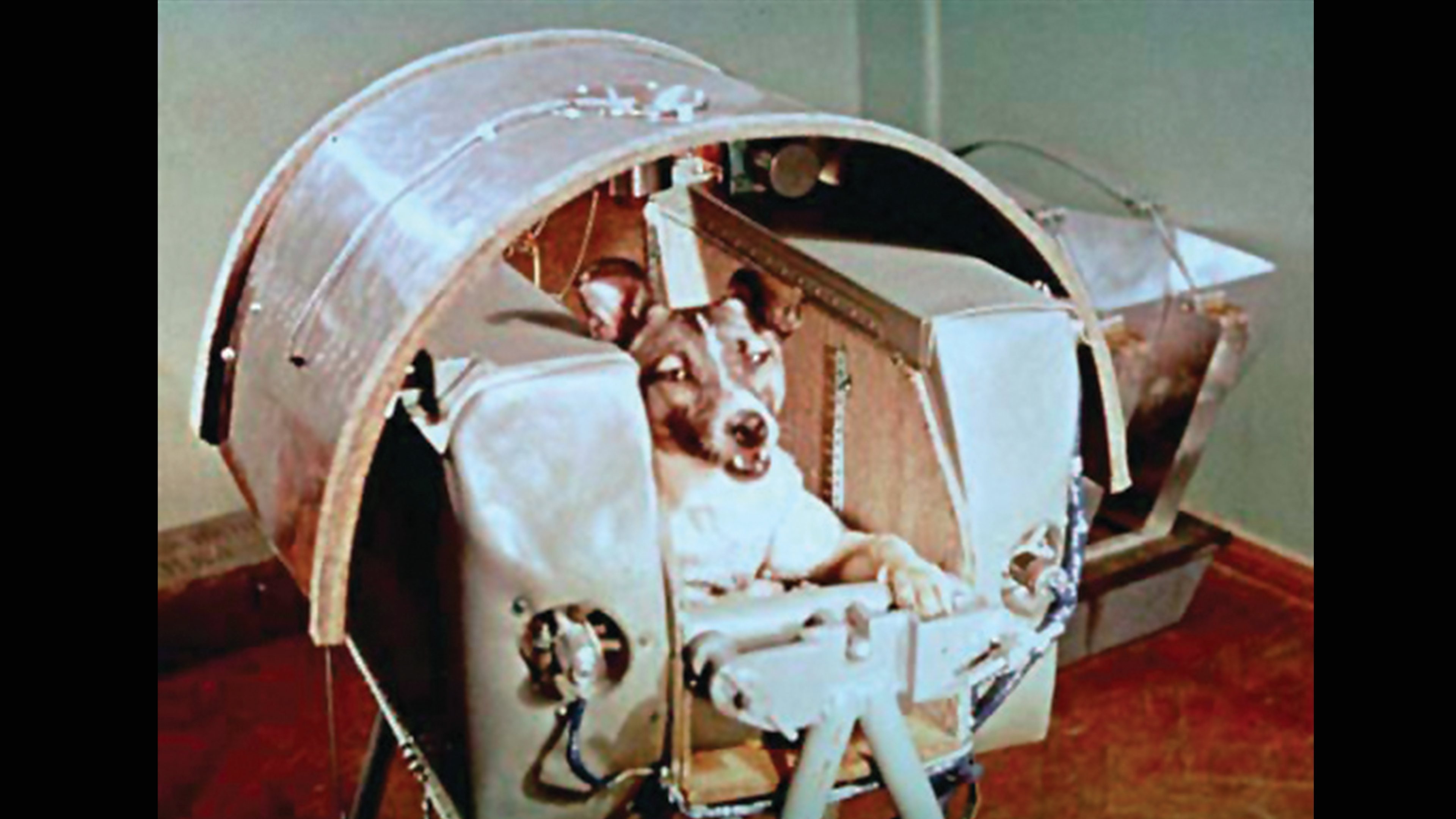 Homenaje a Laika
