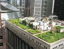 Imagen principal del artículo Hierbas, flores… y rascacielos: los jardines elevados en Chicago