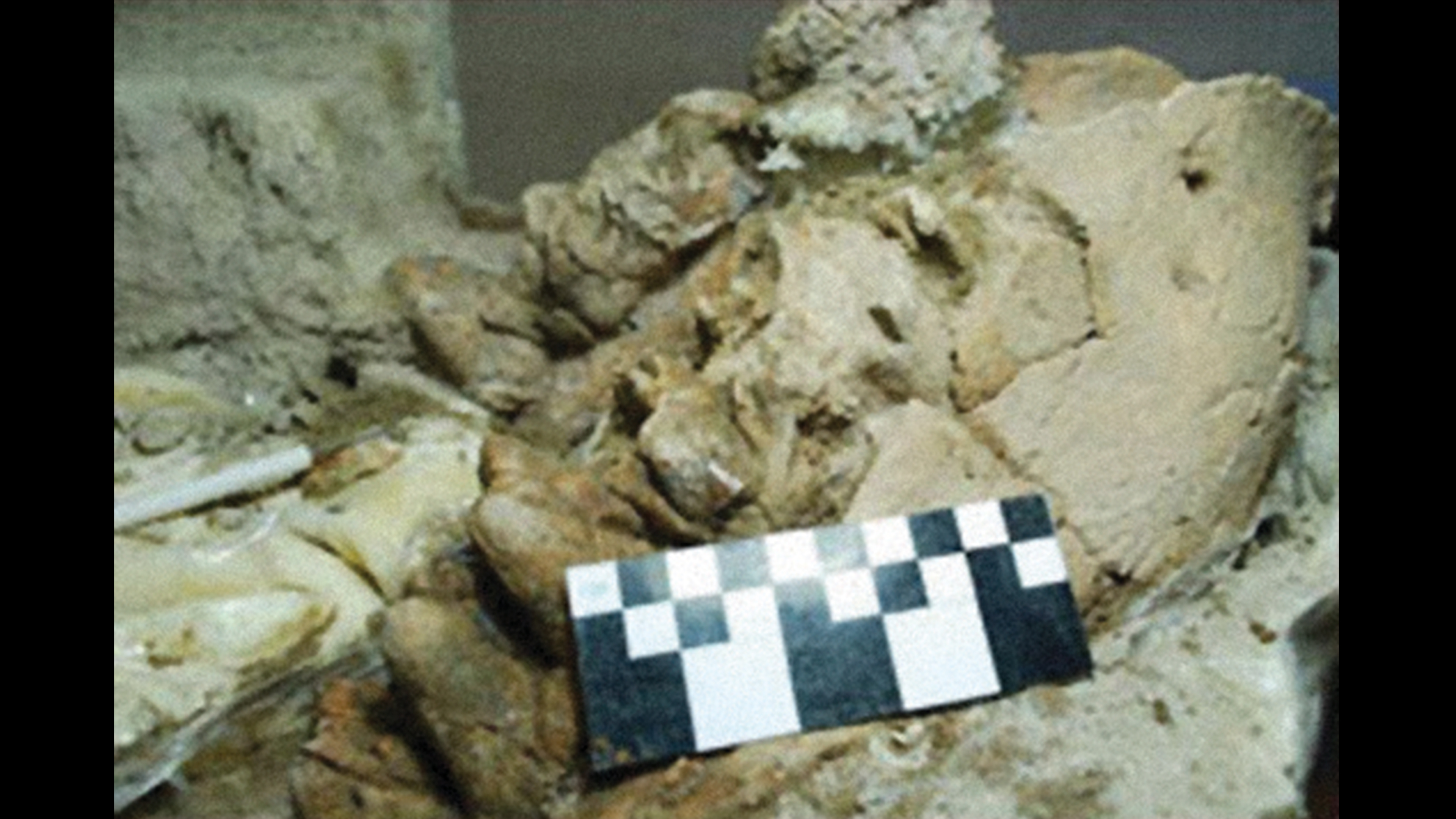 Encuentran evidencia de antigua cultura en Sonora