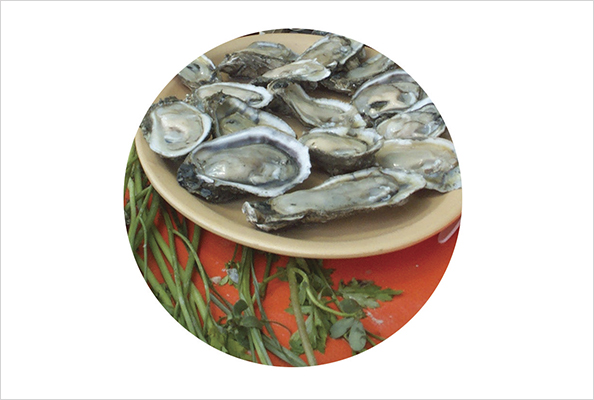 Imagen principal del artículo Marea roja. Los riesgos de comer mariscos*