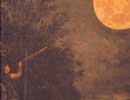 Imagen principal del artículo Galileo, de la ciencia al arte