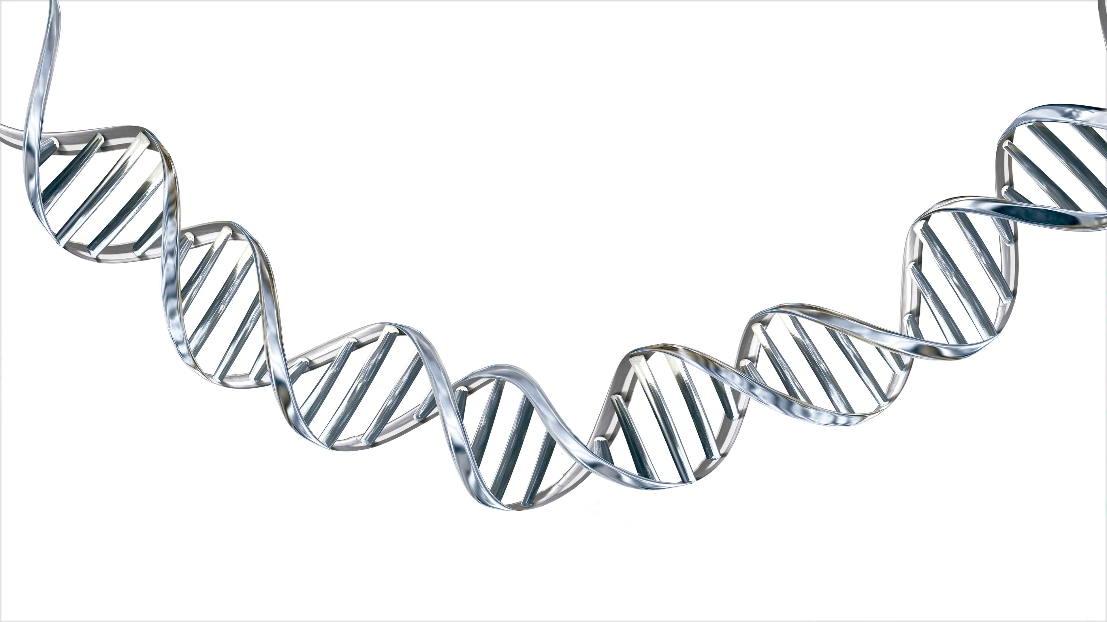 Imagen principal del artículo Diez años del genoma humano: promesas rotas y hallazgos inesperados*