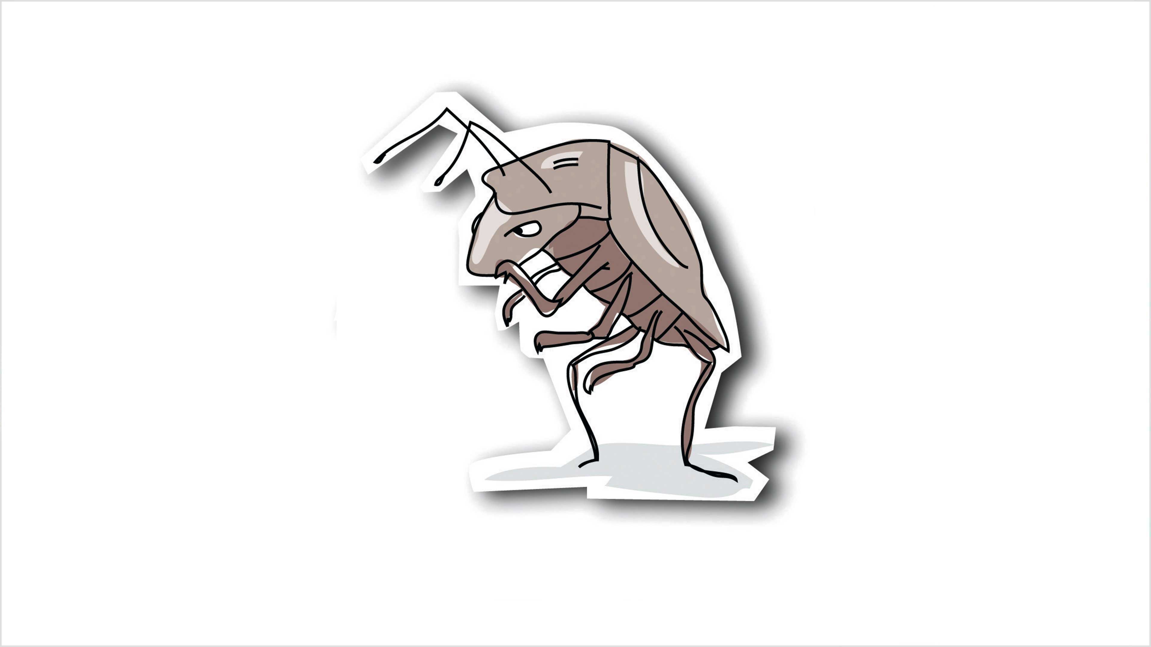 A cucaracha