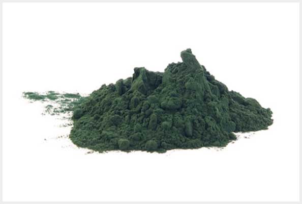 Imagen principal del artículo Spirulina, un alimento del pasado ¿para el futuro?*