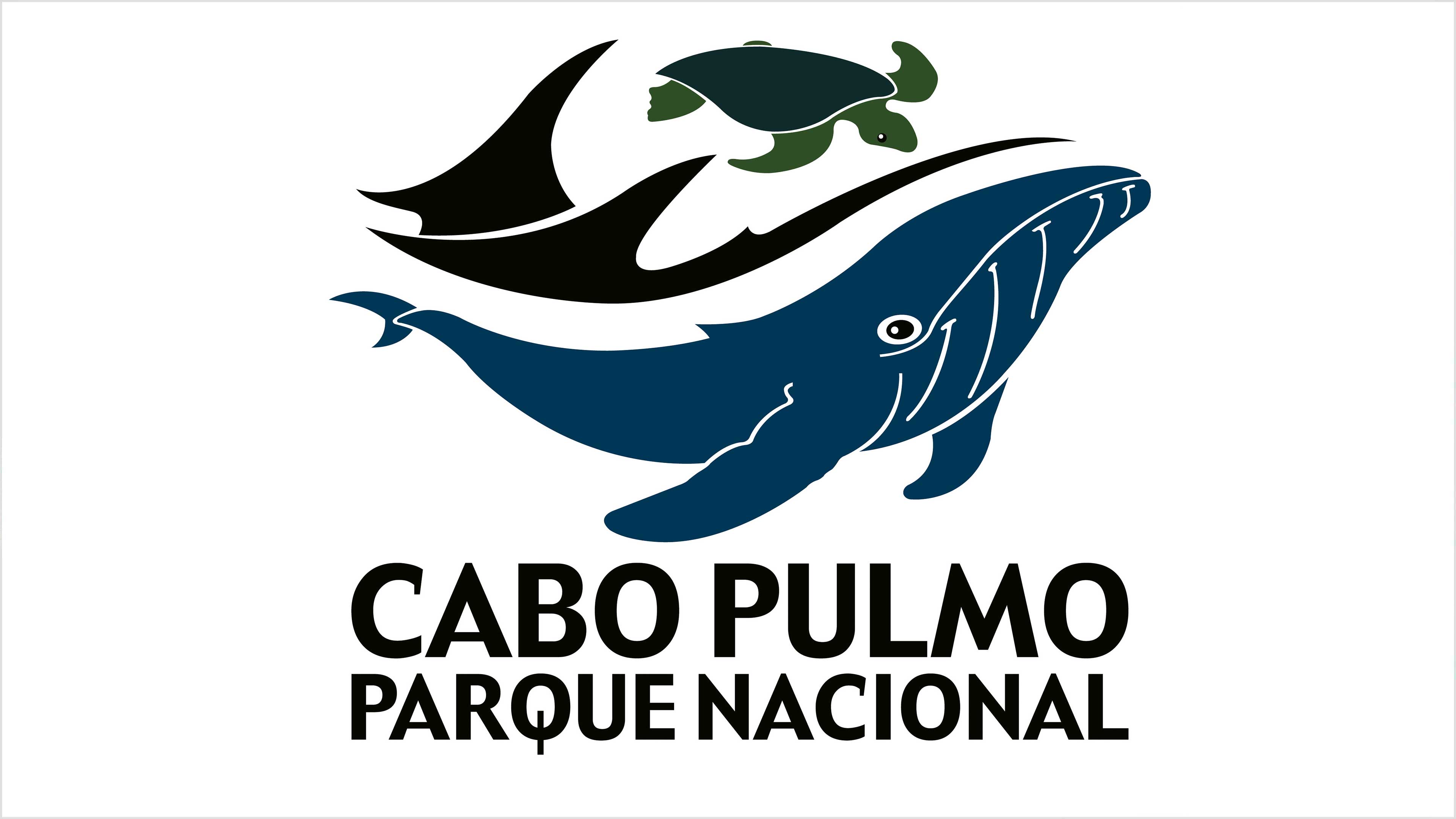 El retorno de los peces