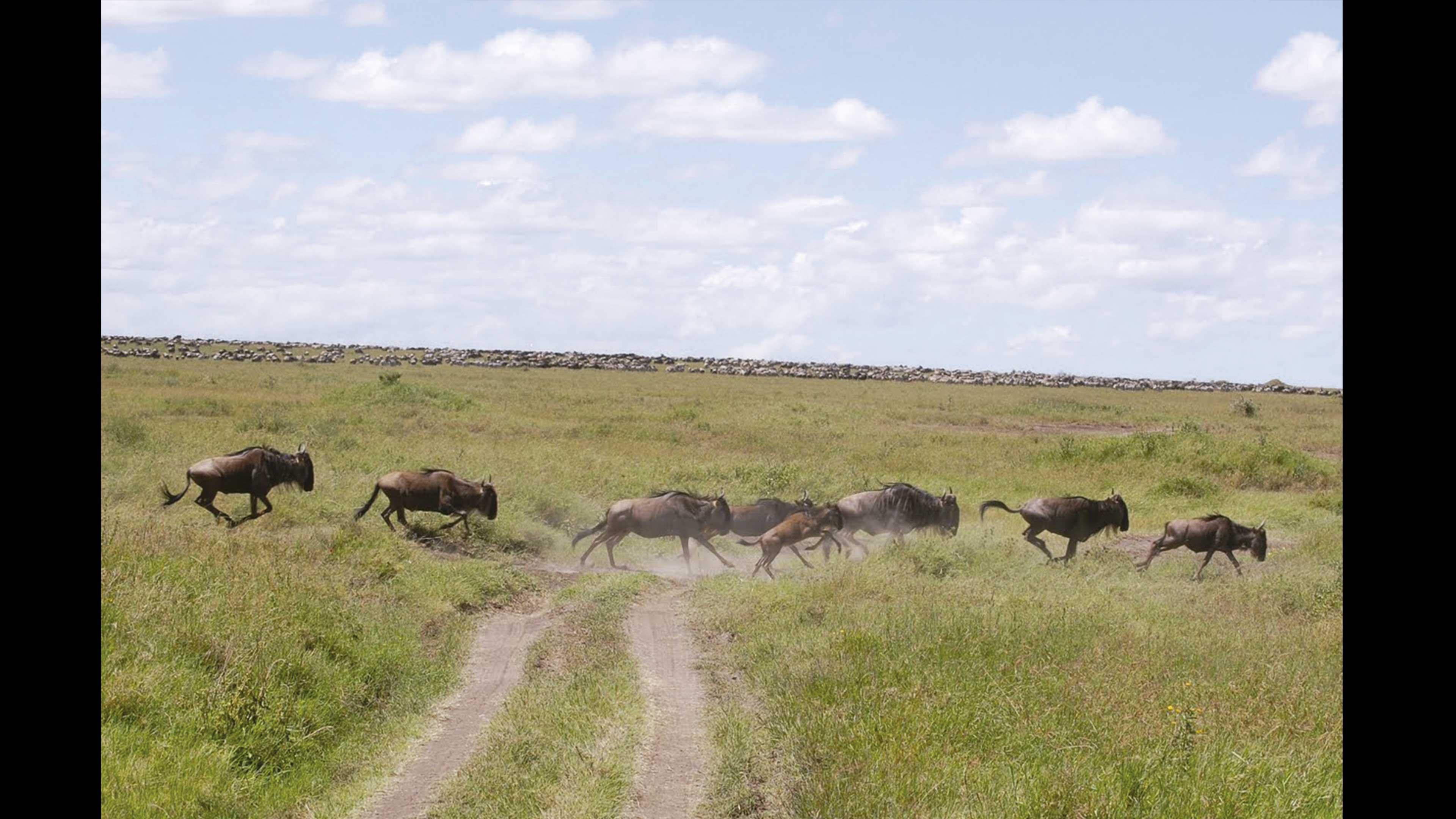 Rutas de escape del calentamiento global