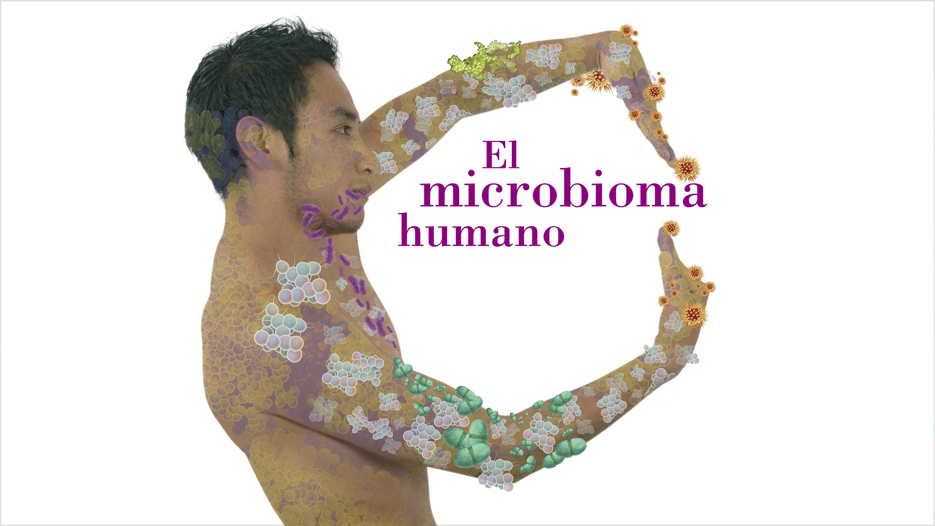 Imagen principal del artículo El microbioma humano