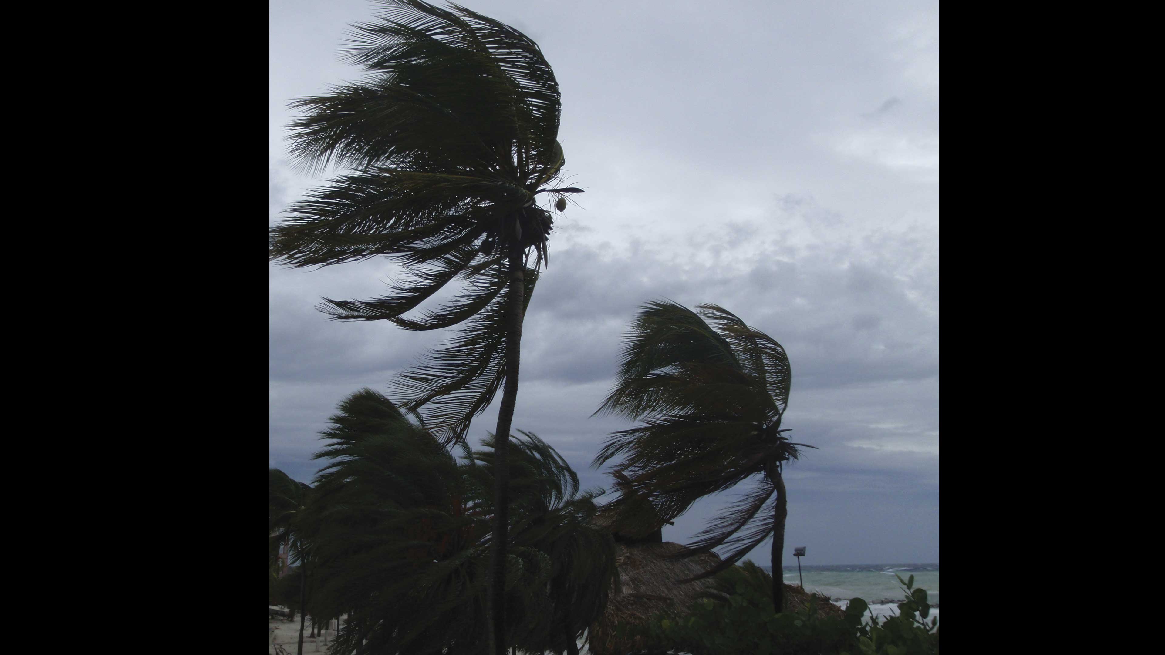 Imagen de Clima desbocado*