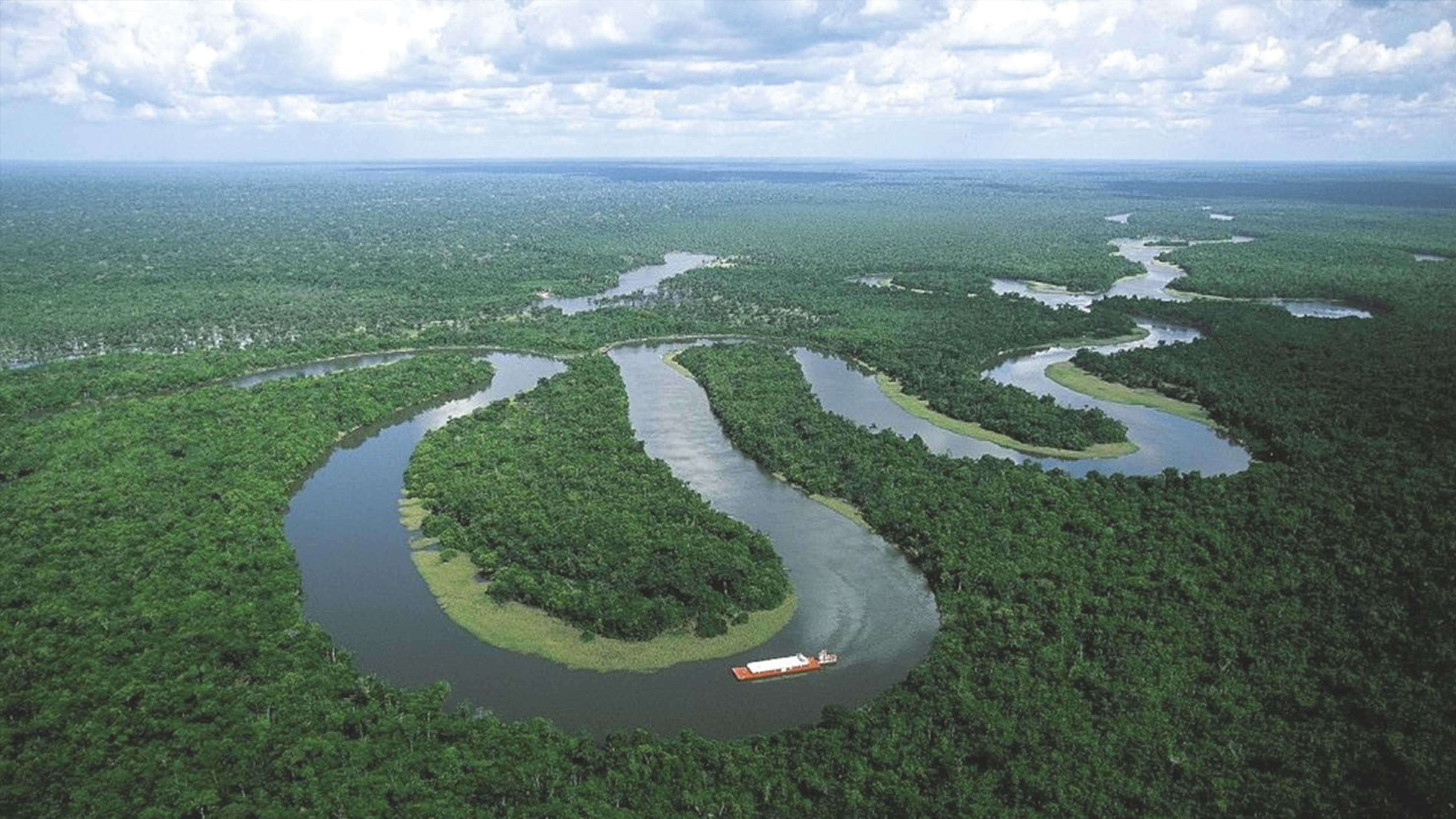 Disminuye deforestación del Amazonas