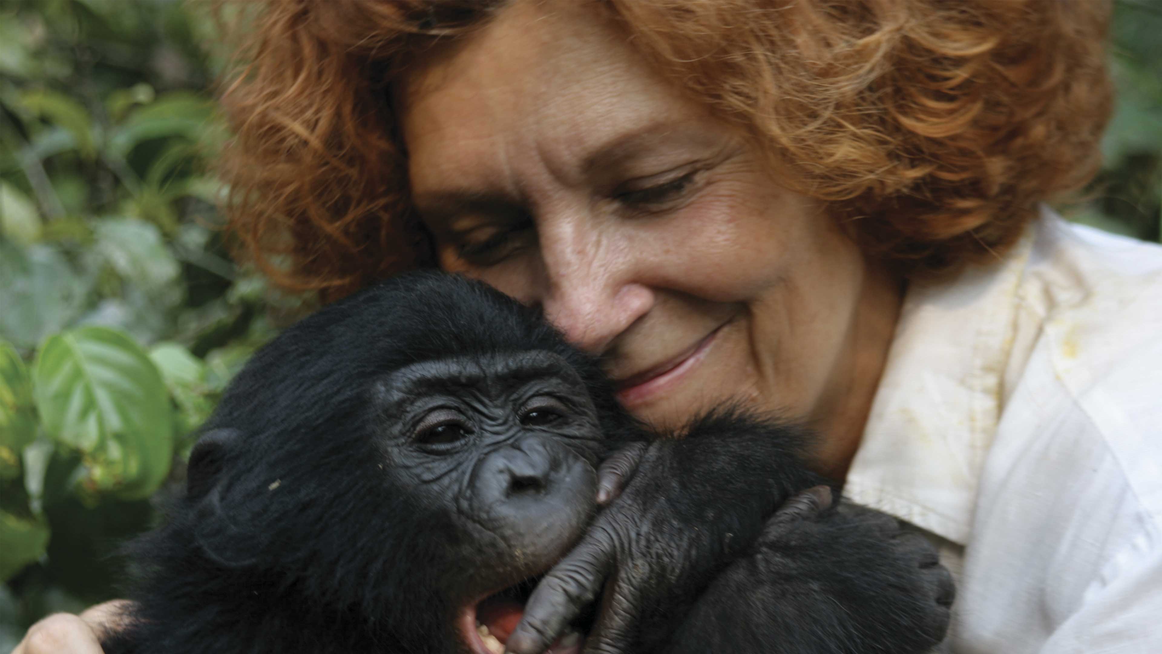 Imagen principal del artículo El hippie de la selva