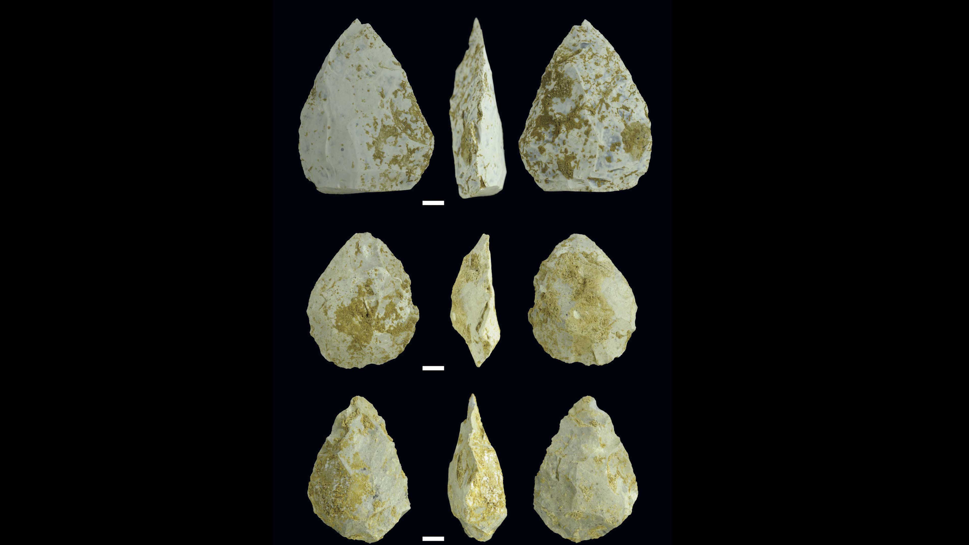 Herramientas neandertales: nuevos hallazgos