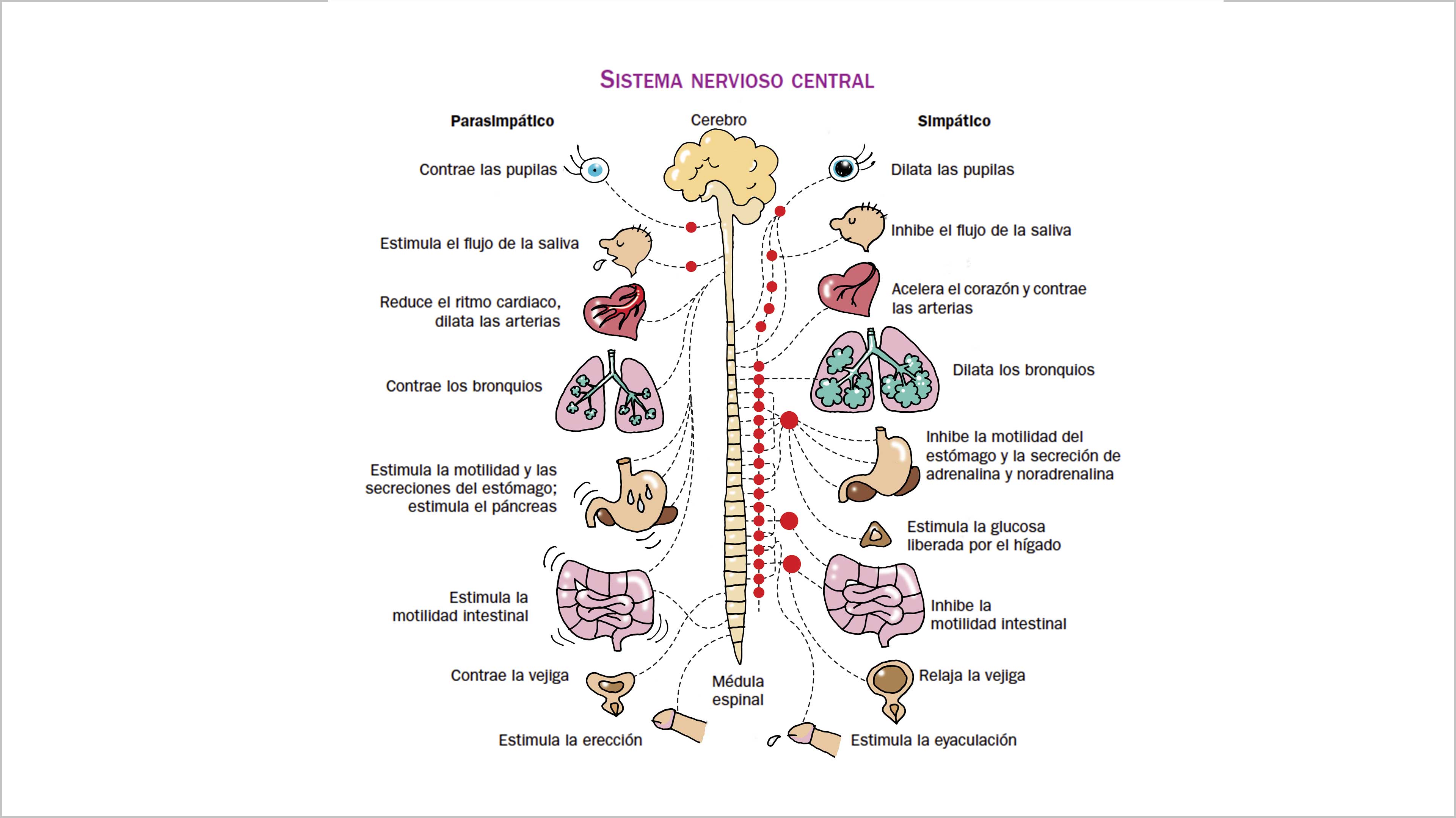 Una aventura de sexo y ciencia