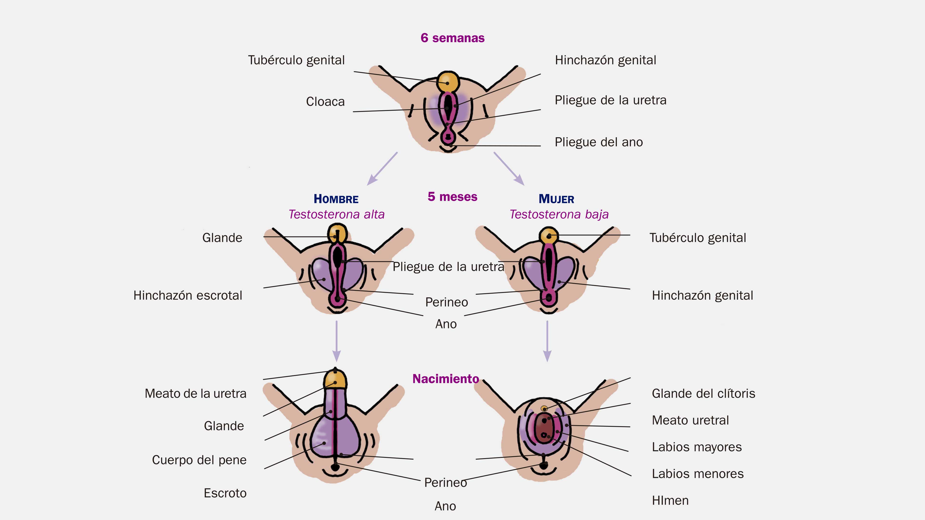 Una aventura de sexo y ciencia