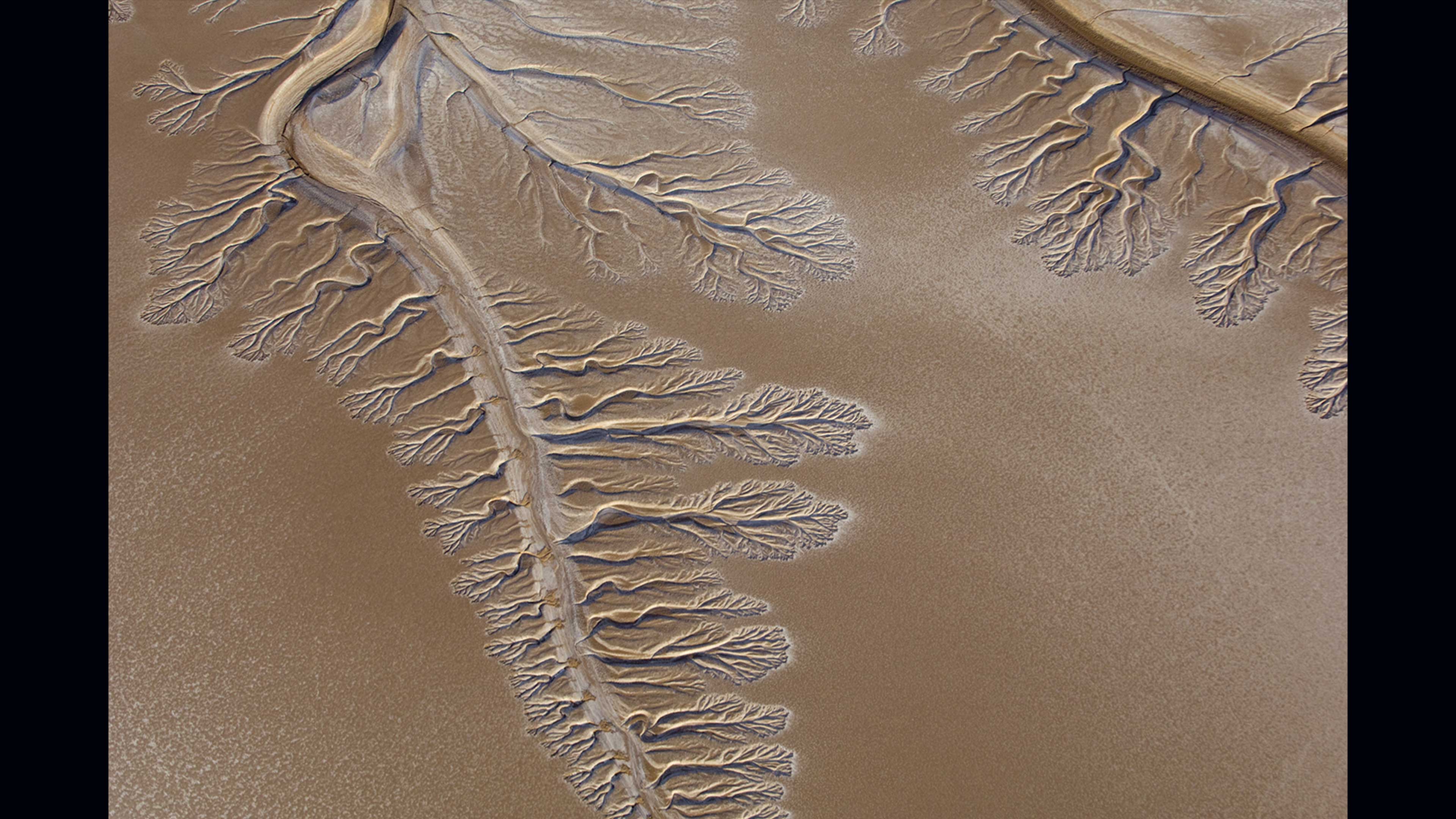 El río Colorado llega al Mar de Cortés