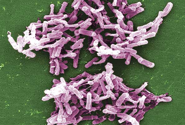 Imagen principal del artículo Nuestra salud en riesgo: resistencia antimicrobiana