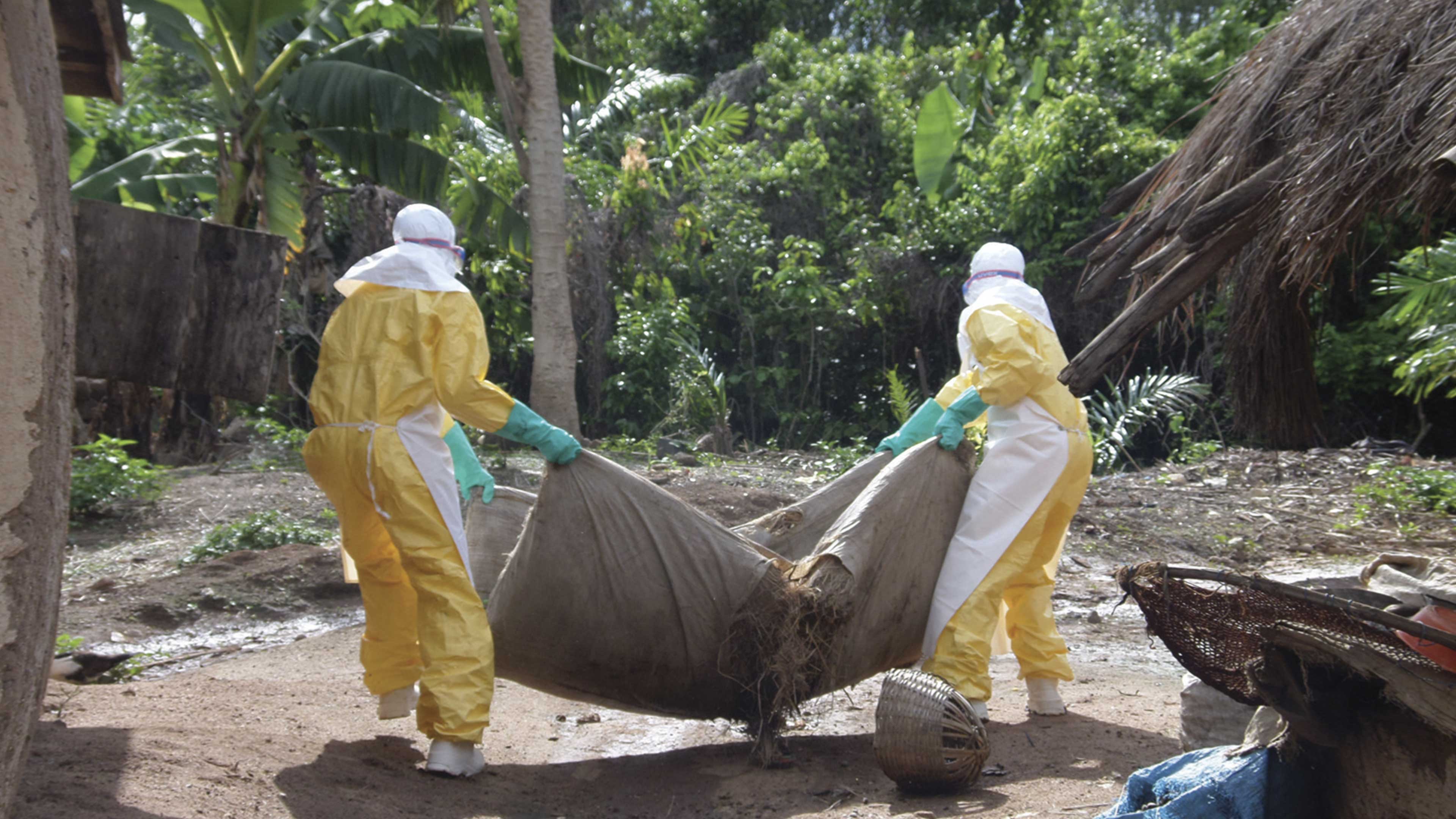 Ébola: retrato de una epidemia