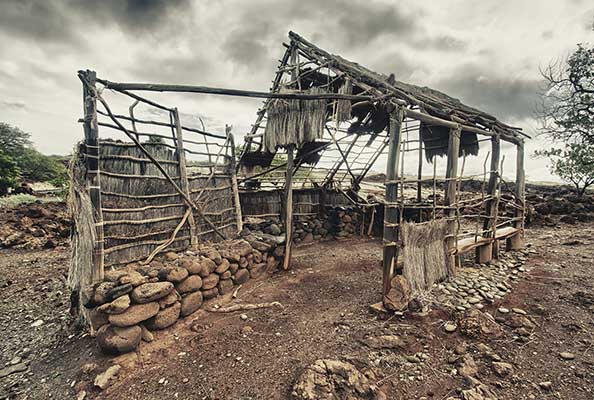 Imagen principal del artículo Los migrantes del clima