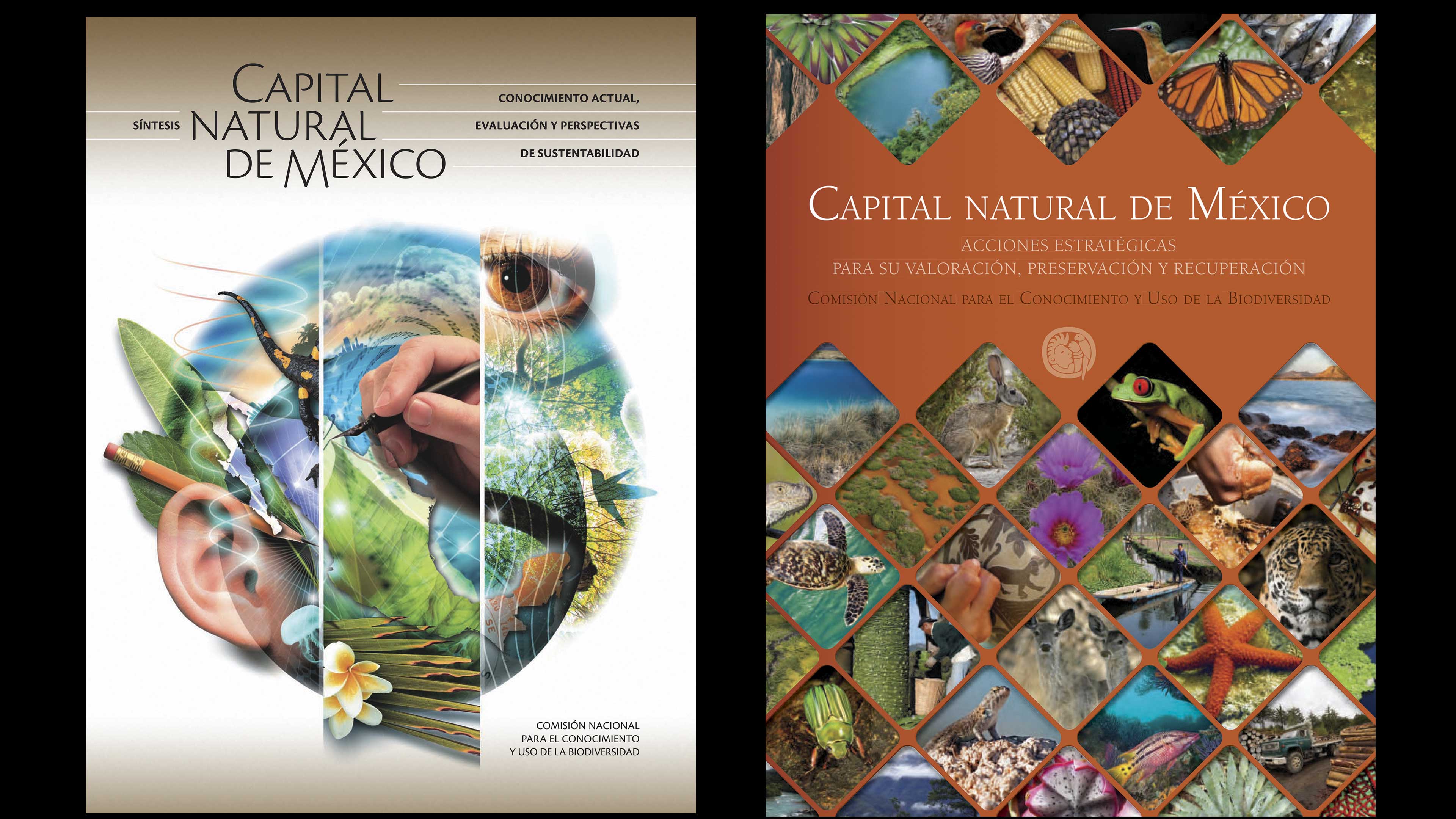 El capital natural de México