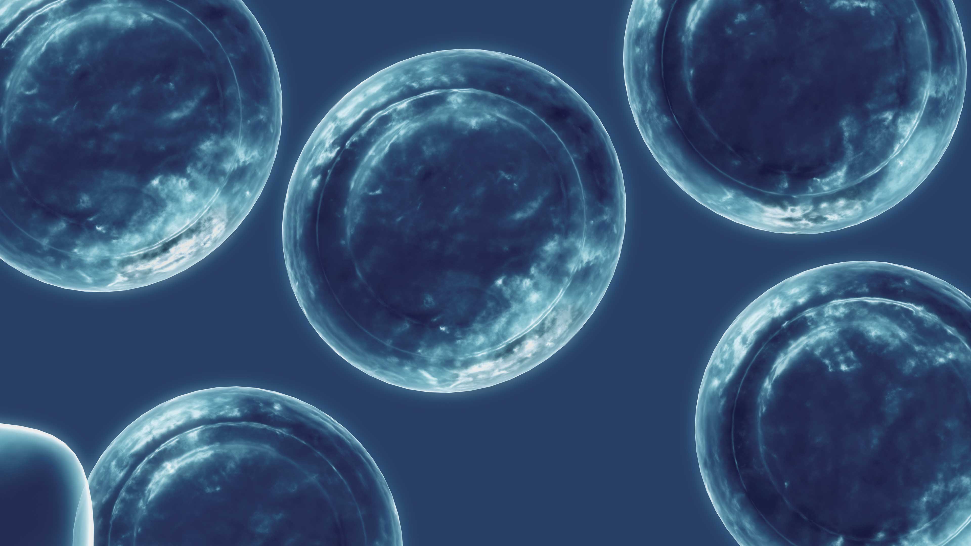 Imagen principal del artículo Células madre: el futuro que llegó