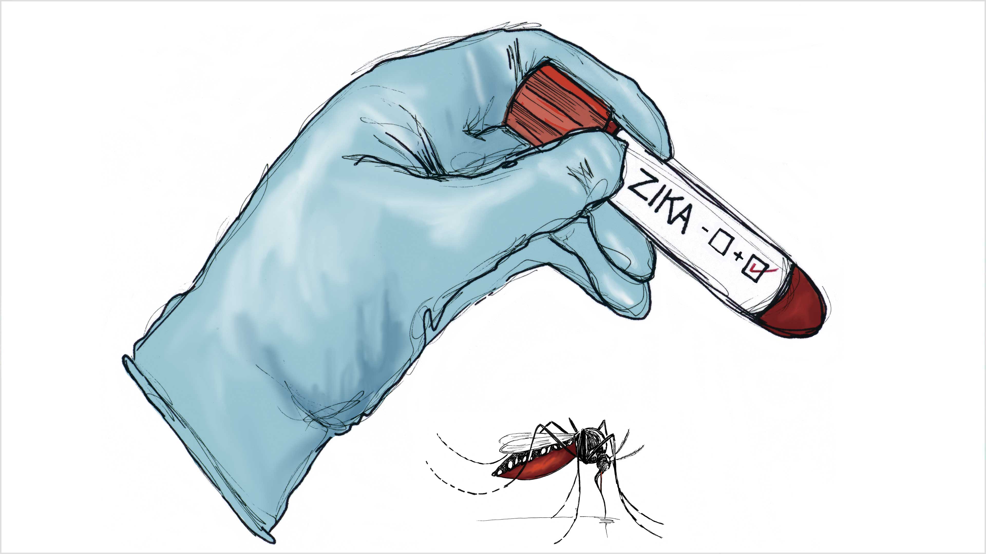 Imagen principal del artículo Zika, los mosquitos vuelven a la carga