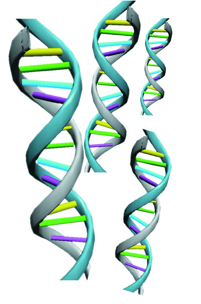 Imagen de El proyecto del genoma humano en la balanza