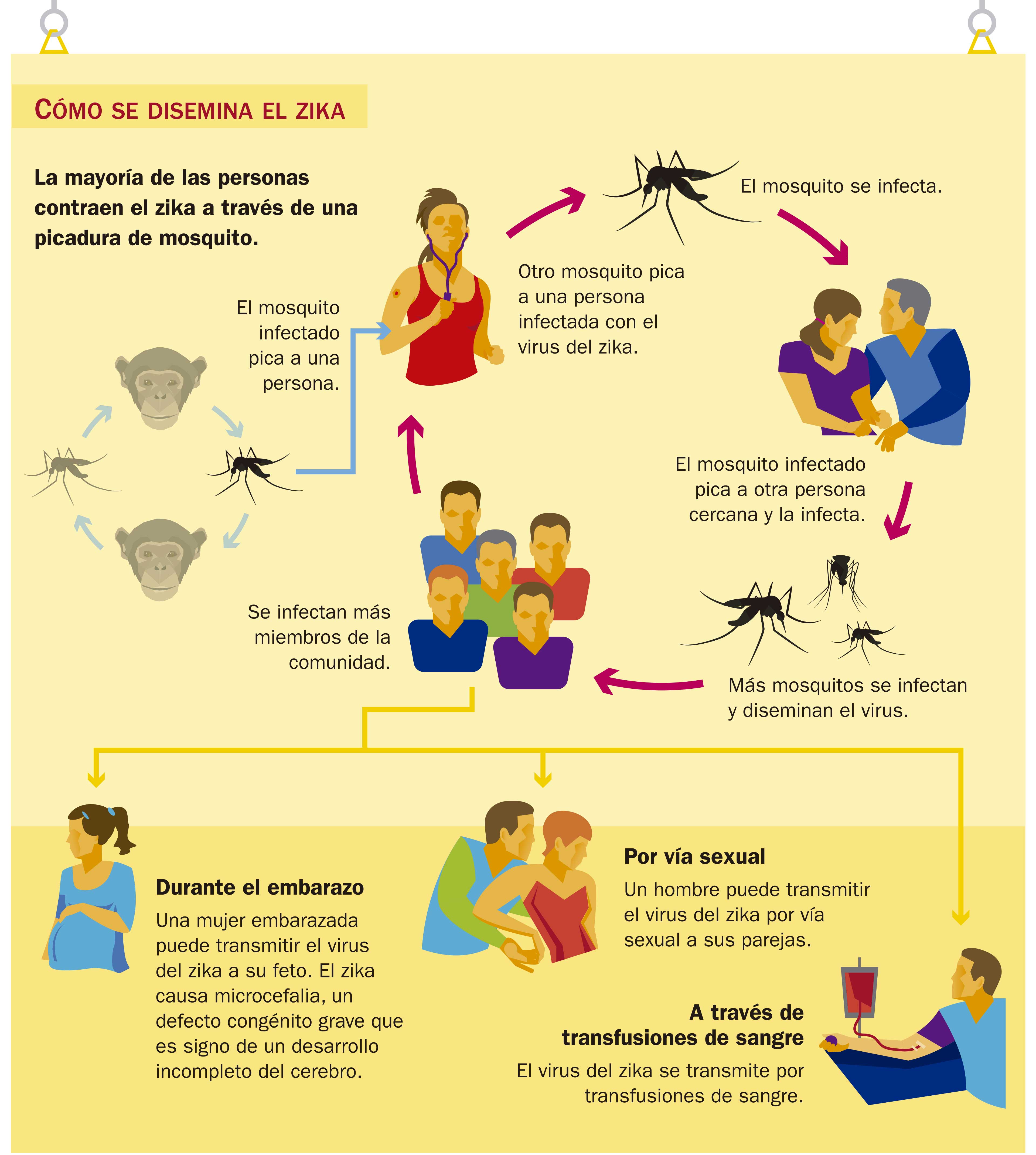 Zika y olimpiadas: ¿la salud en juego?