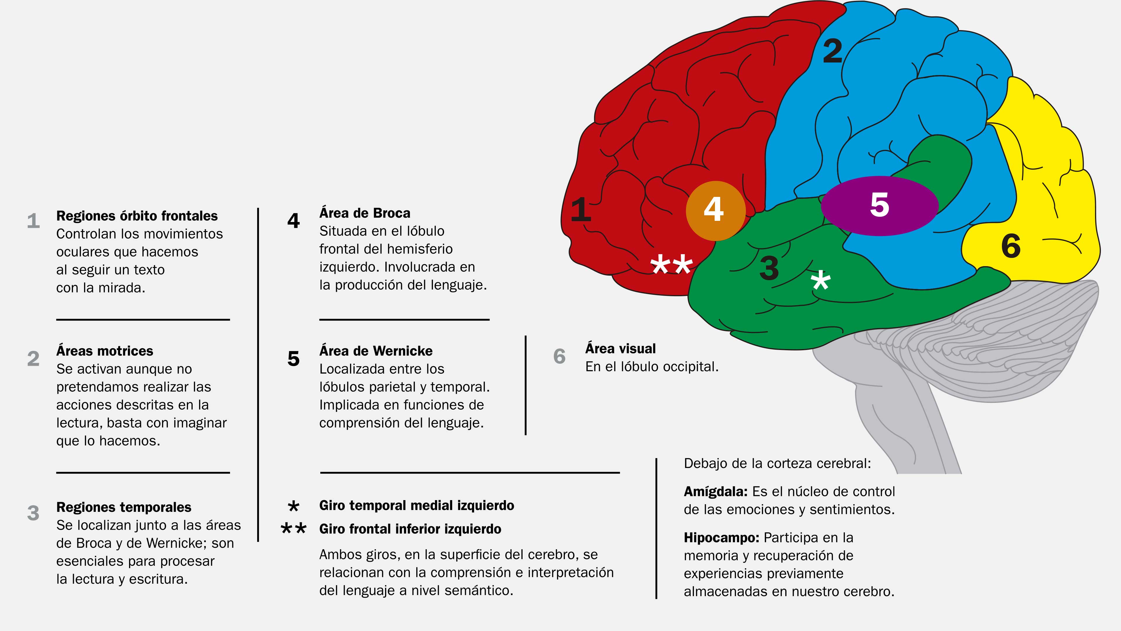 Los retos de la lectura en la era de Internet