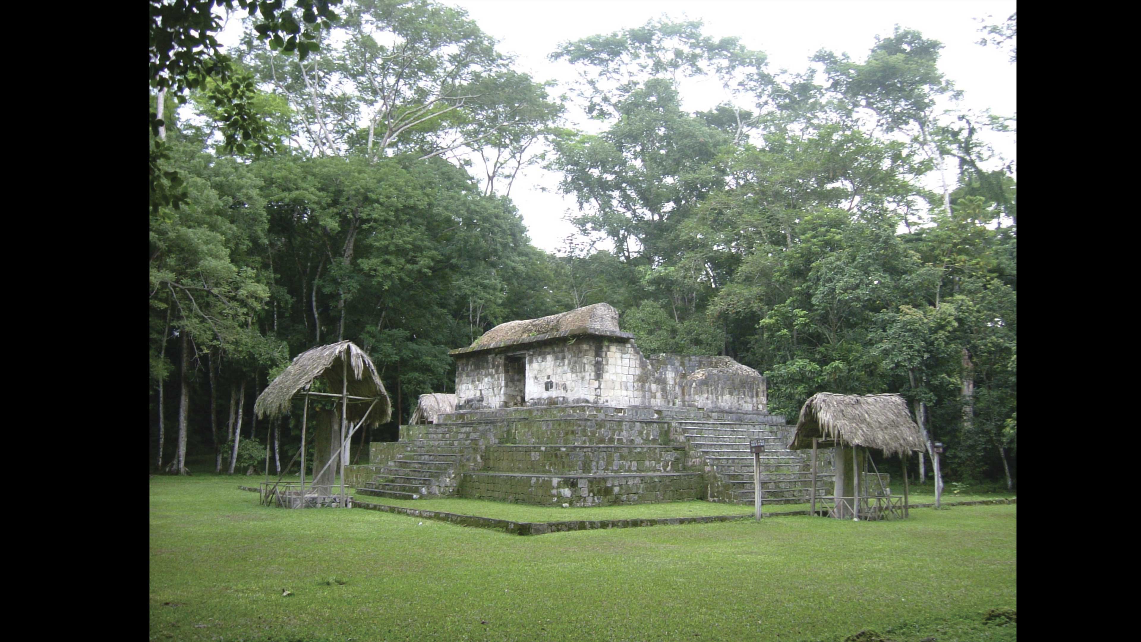 La domesticación de los perros en la cultura maya