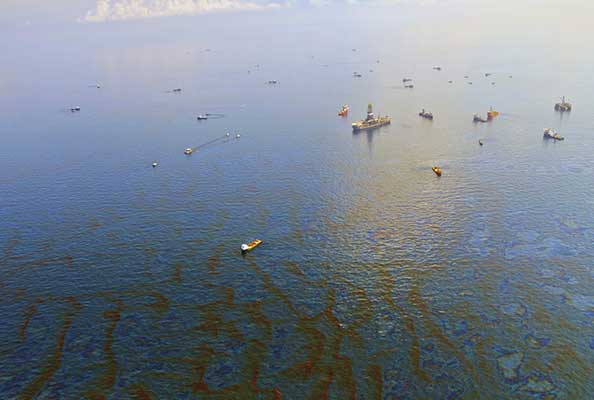 Imagen principal del artículo Bacterias al rescate