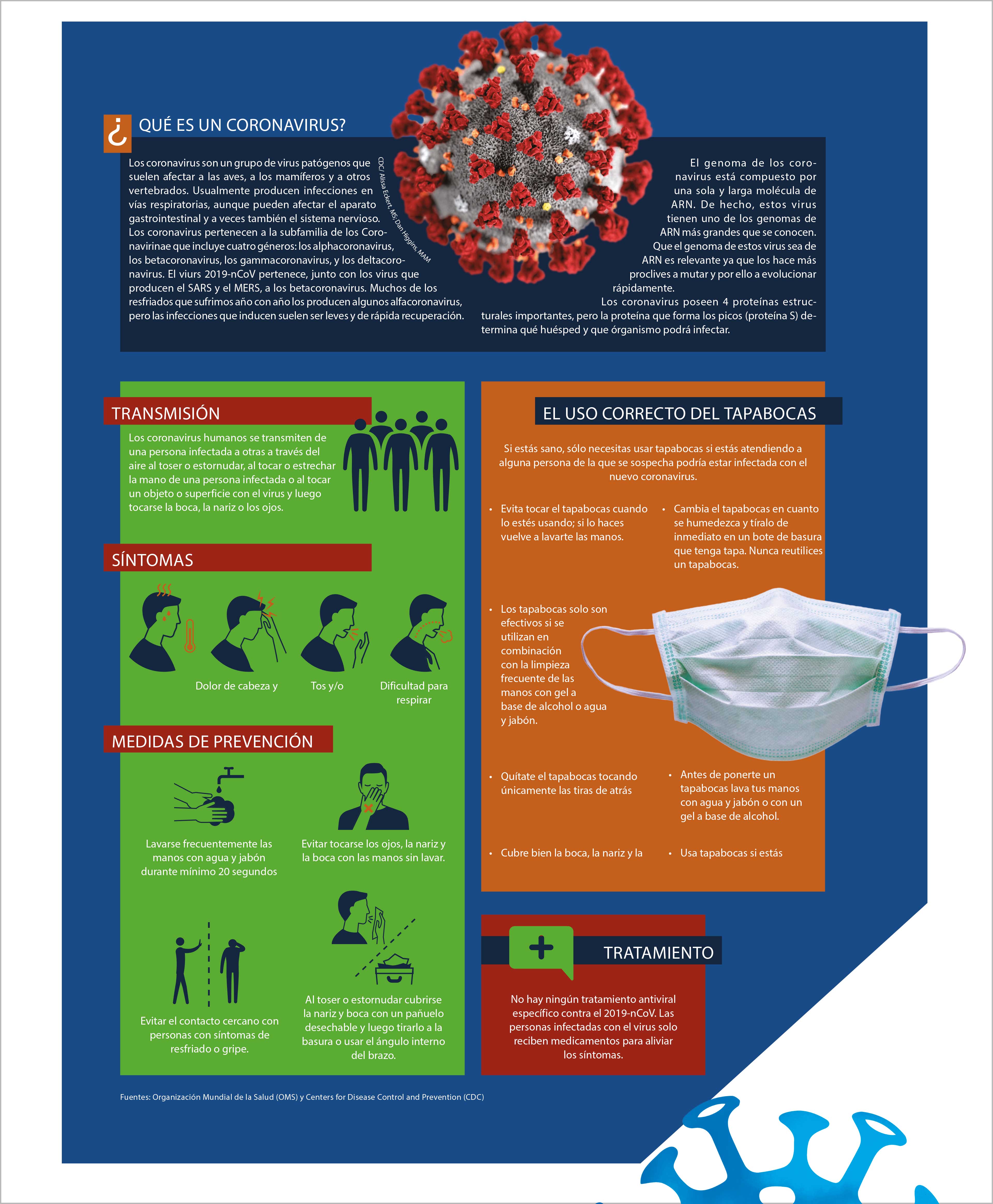 Nuevo coronavirus. La epidemia