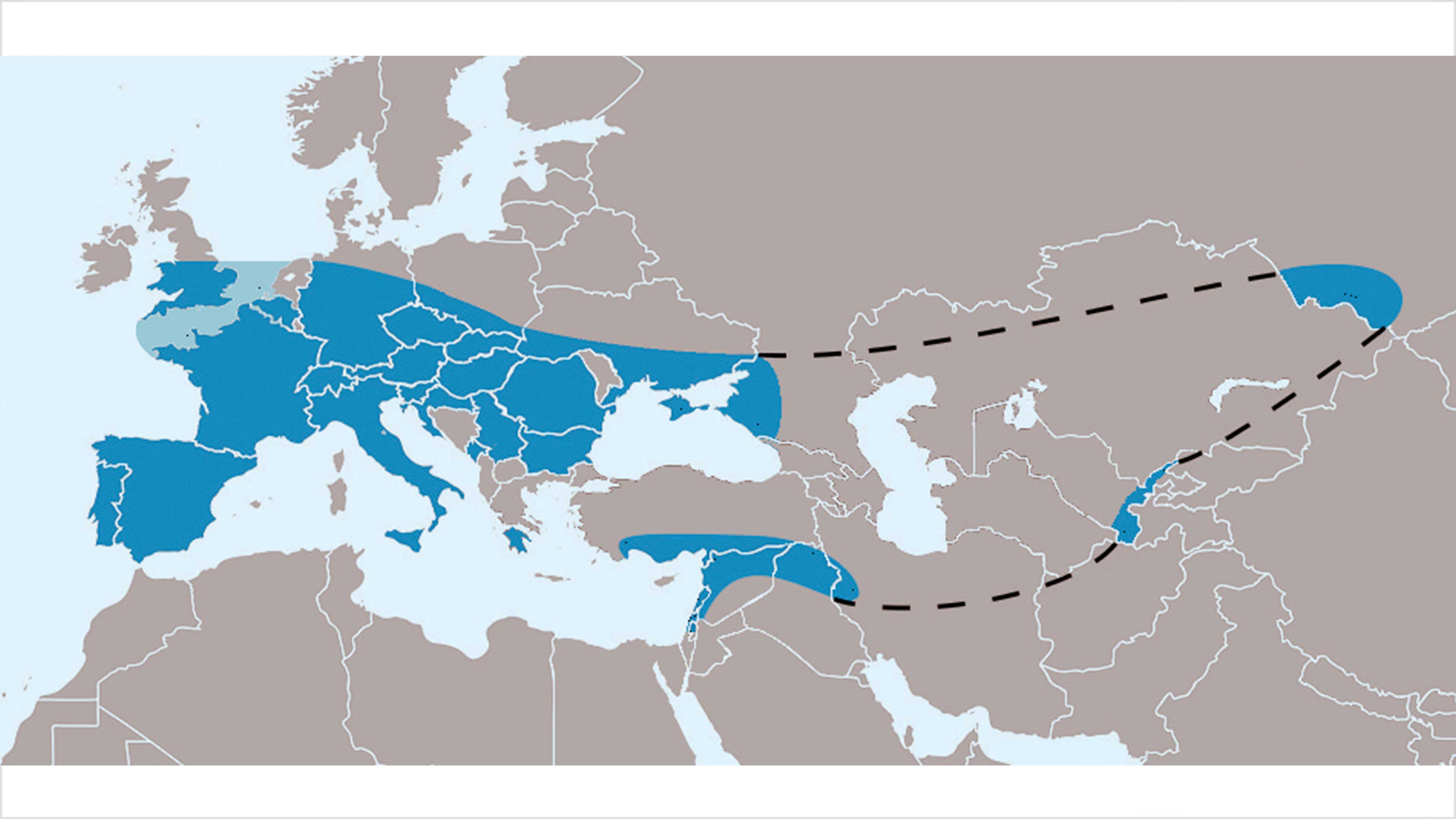 El increíble viaje de los neandertales