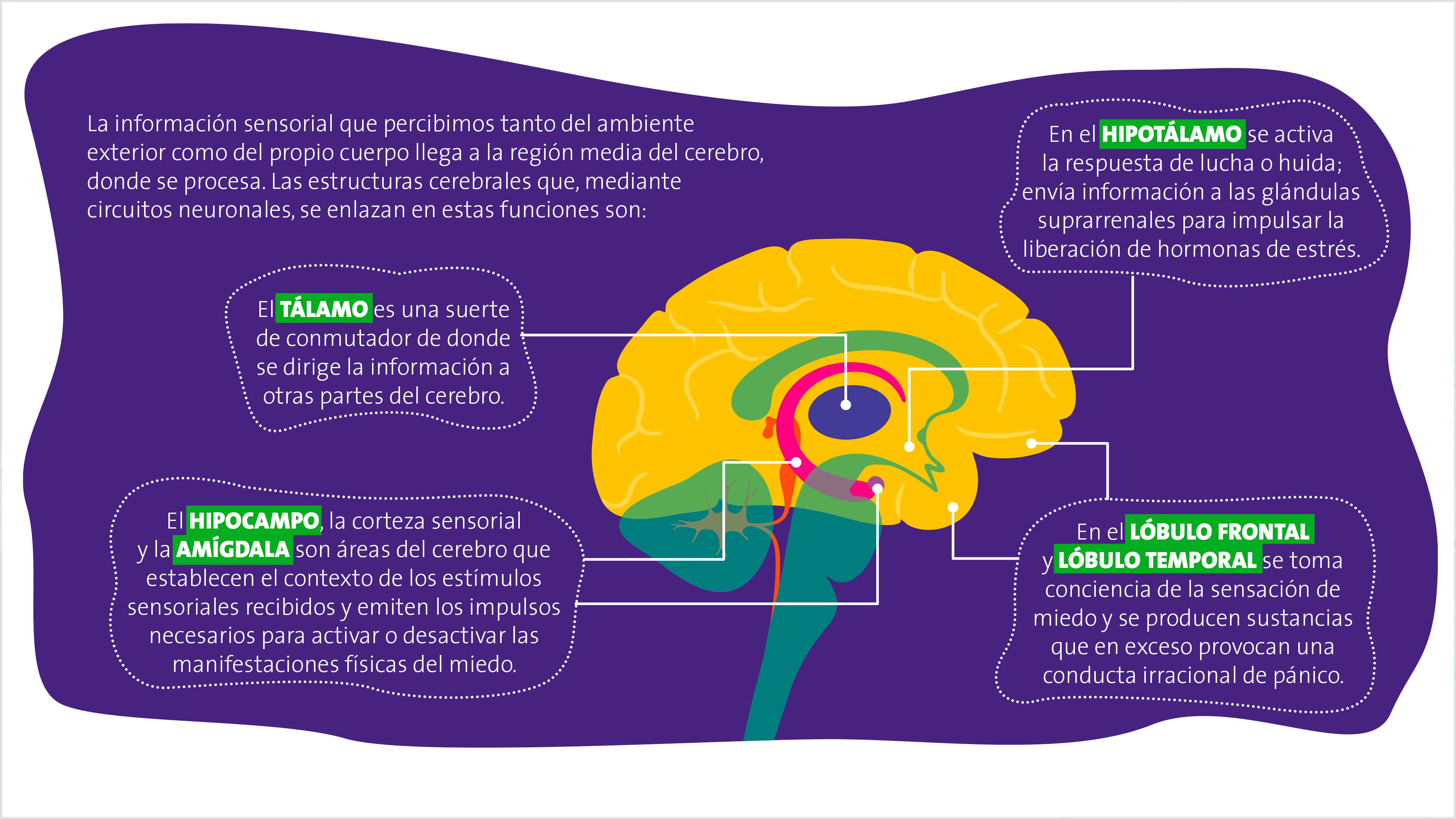 Nuestras emociones en la pandemia