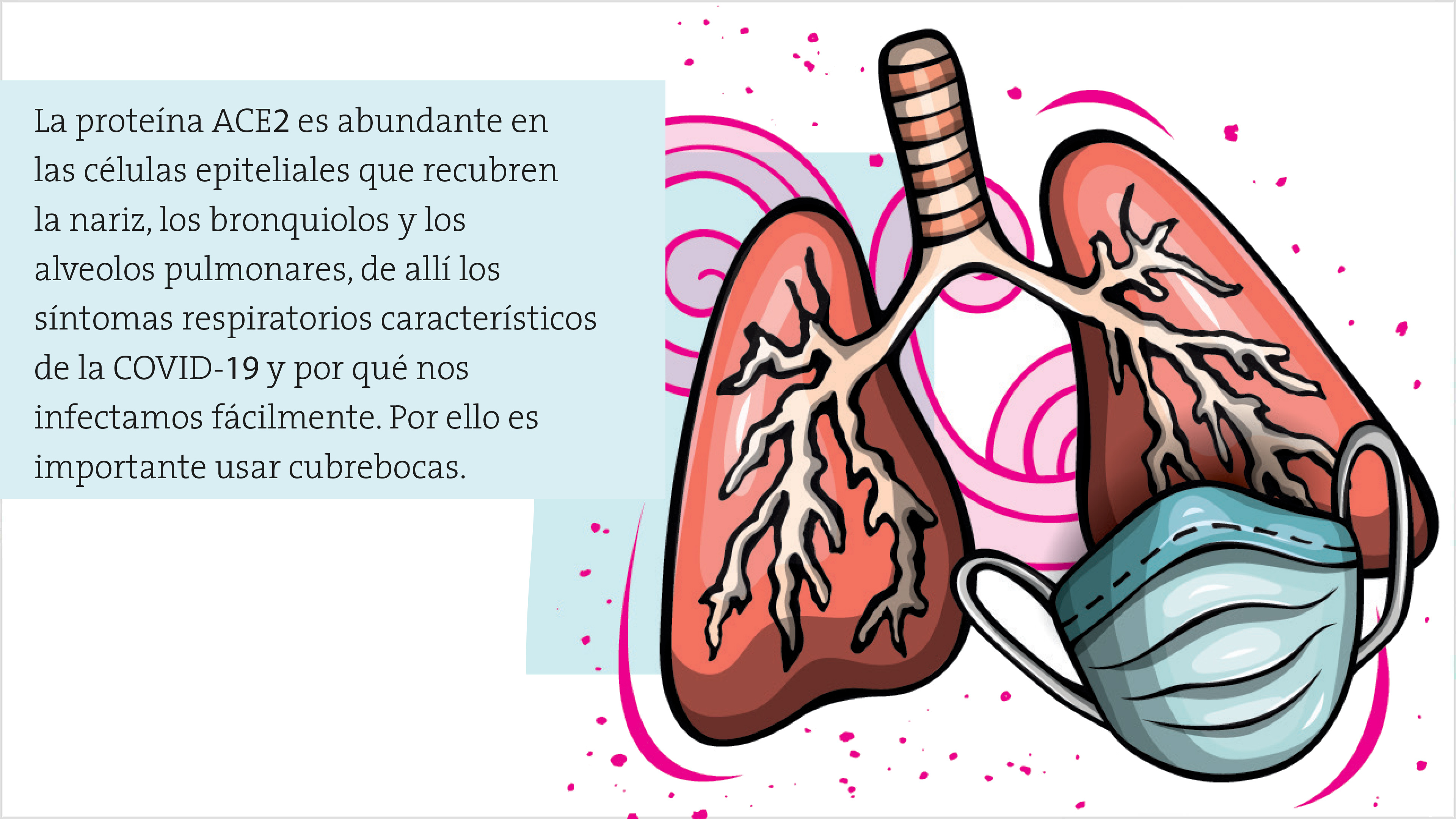  y vacunas contra el nuevo coronavirus