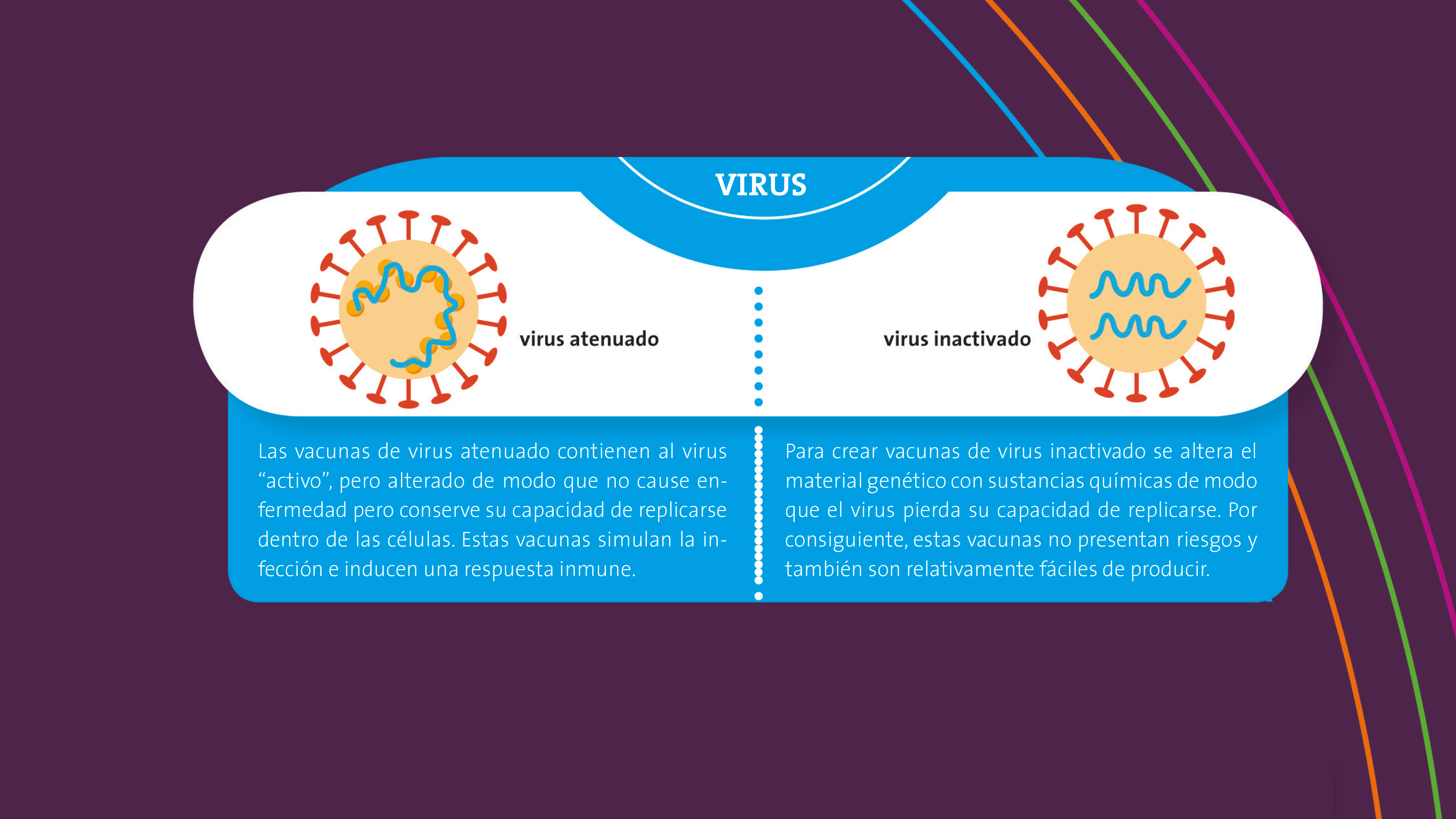 Imagen principal del artículo Las vacunas que acabarán con la pandemia