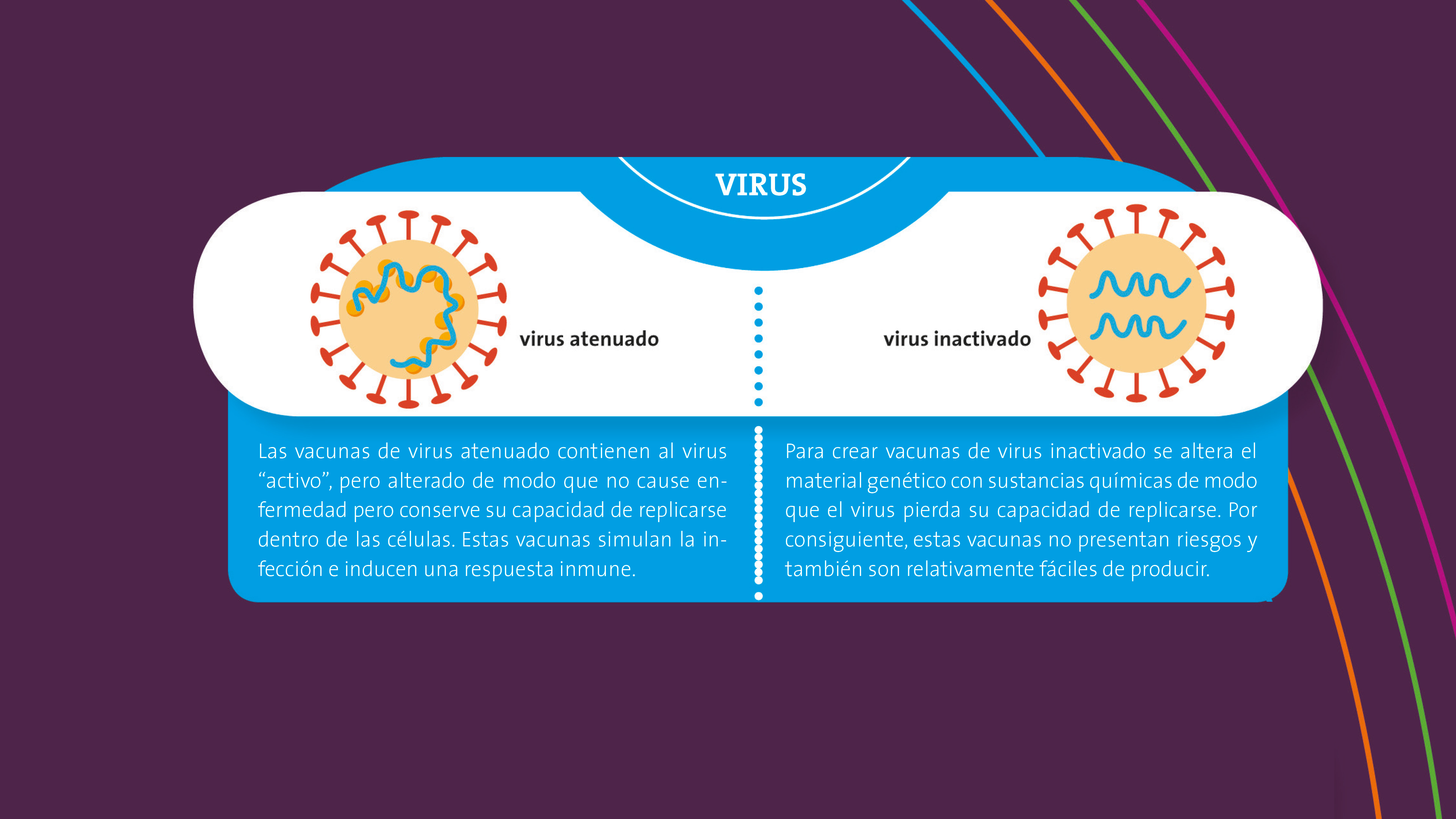 Imagen de Las vacunas que acabarán con la pandemia