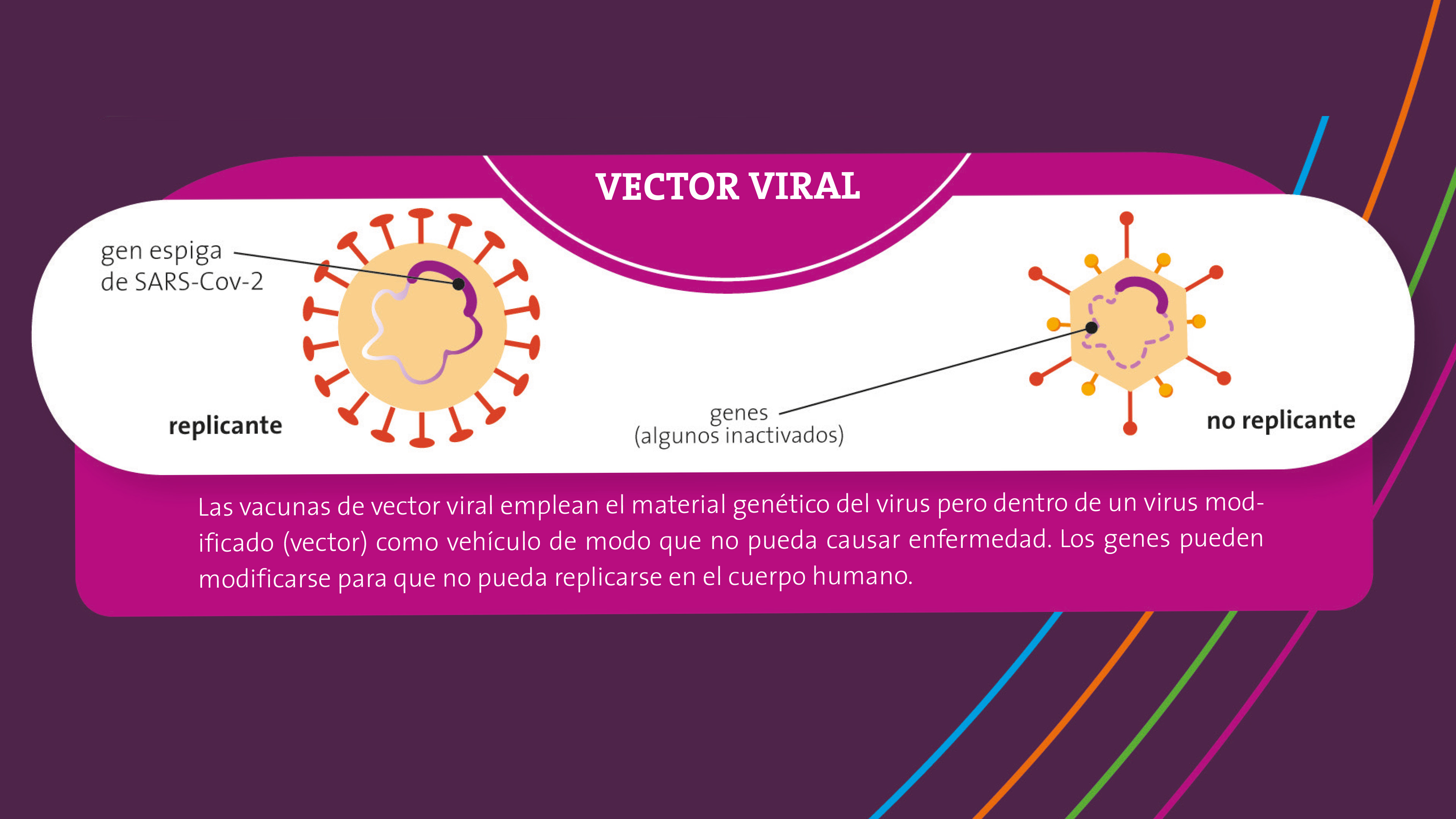 Las vacunas que acabarán con la pandemia 