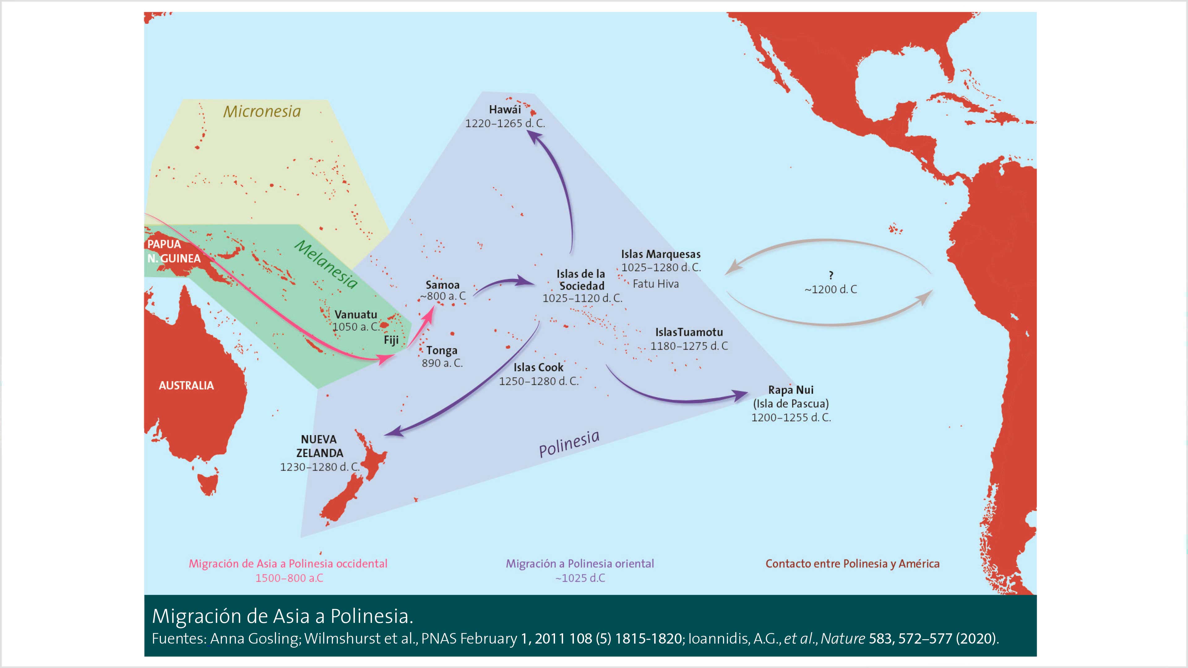 Imagen principal del artículo Contacto en Polinesia