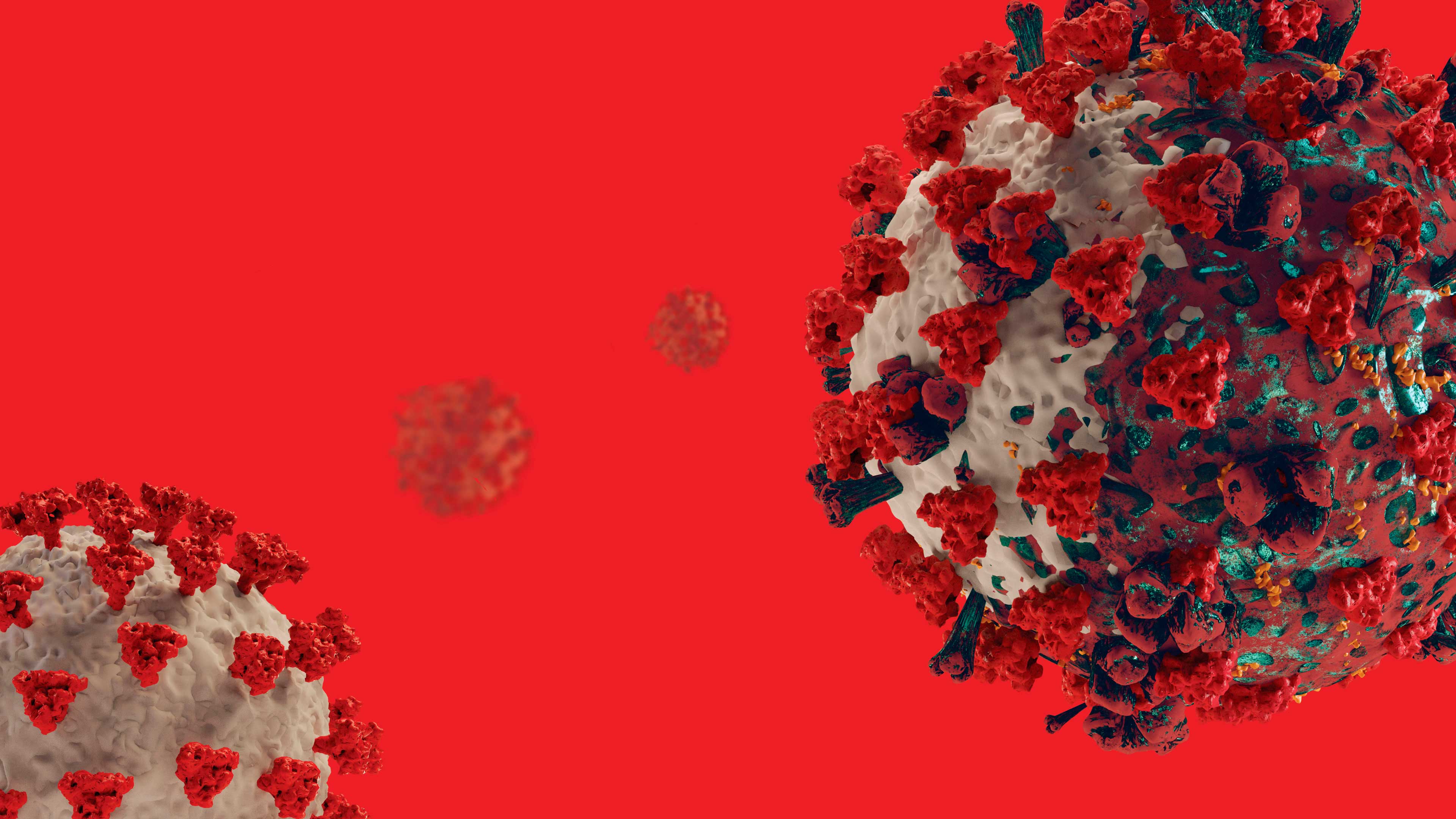 Imagen principal del artículo Los coronavirus mutantes: ¿me debo preocupar?
