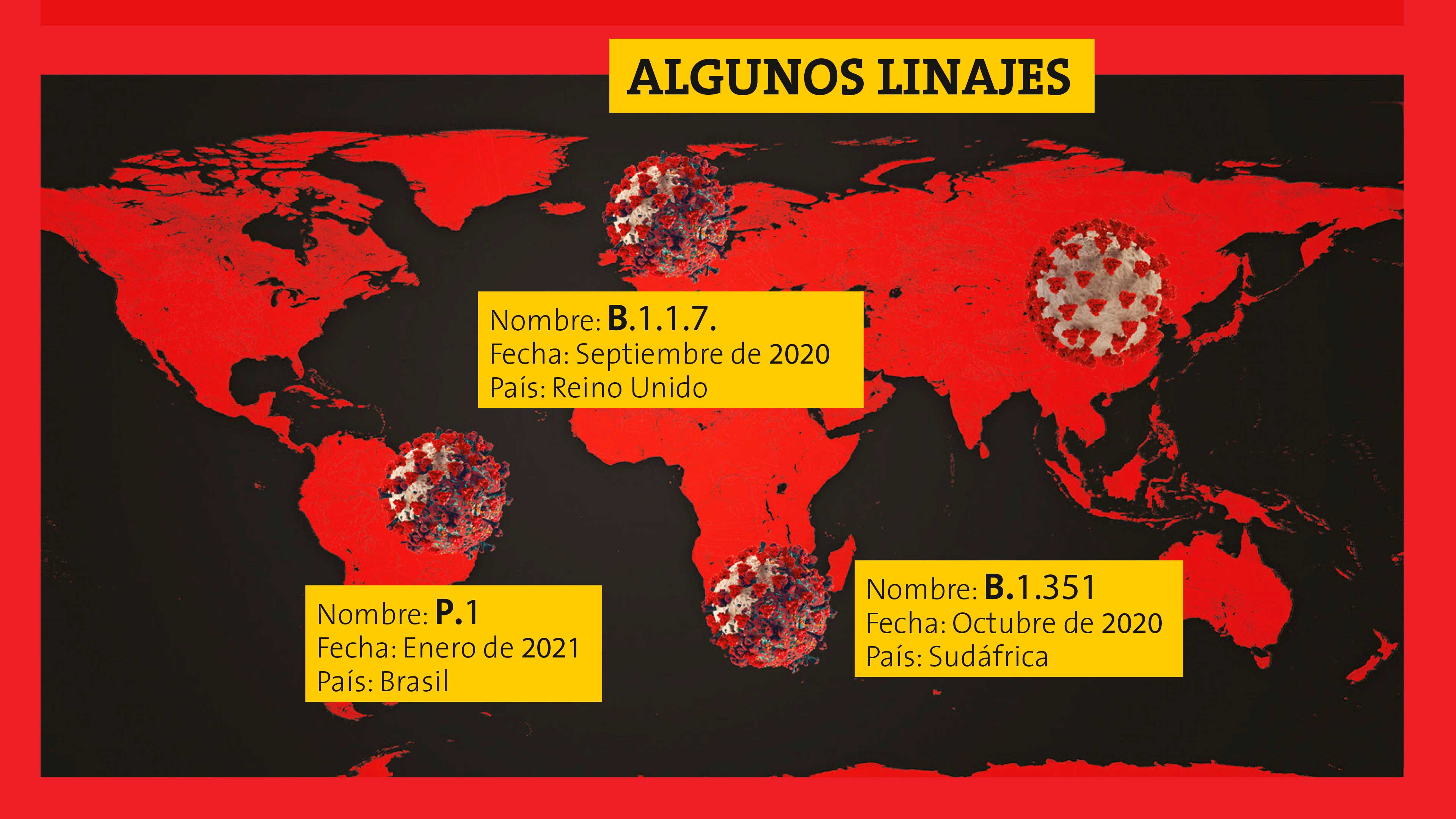 Los corona virus mutantes: ¿me debo preocupar?