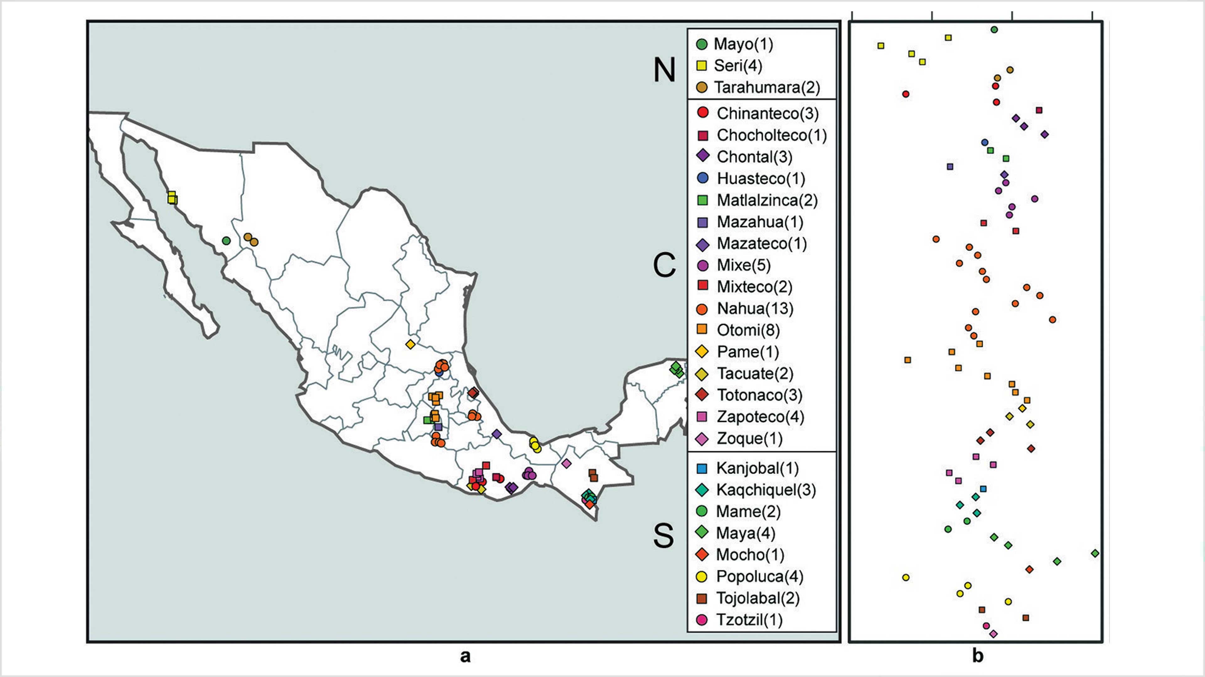 Estudian el genoma completo de poblaciones nativas mexicanas