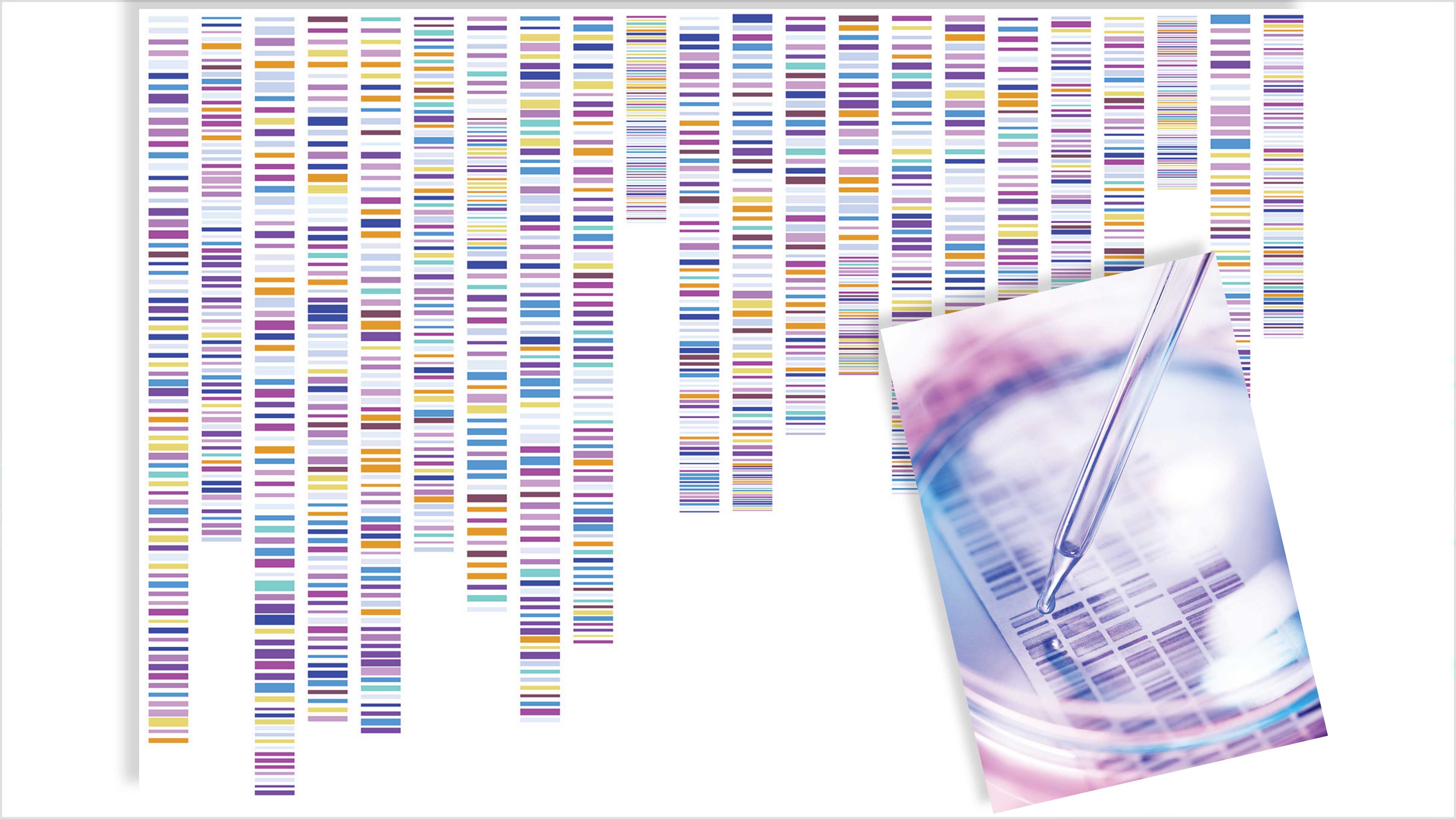 Imagen de El poder de la bioinformática