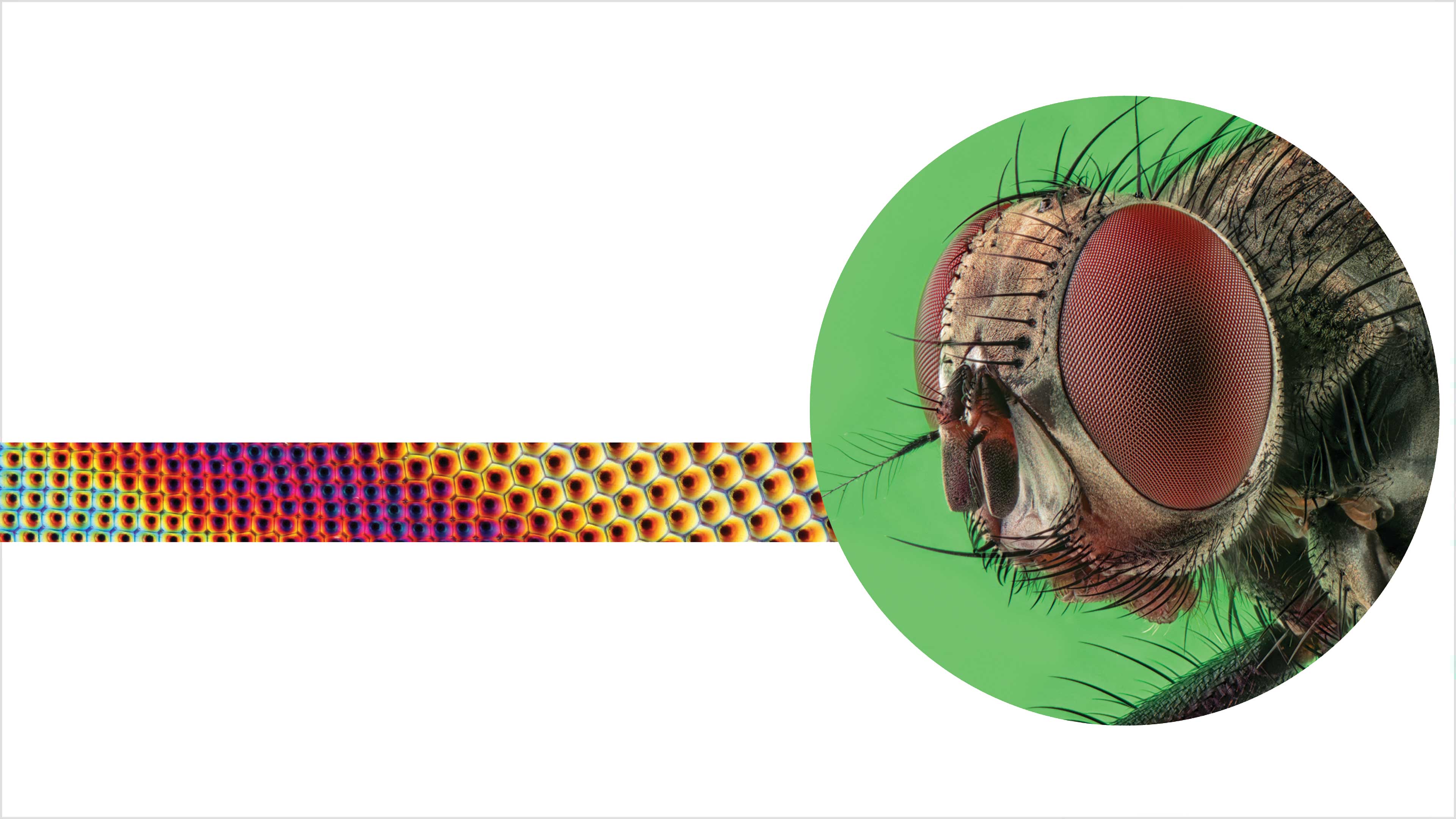 Imagen de Matar a la ciencia