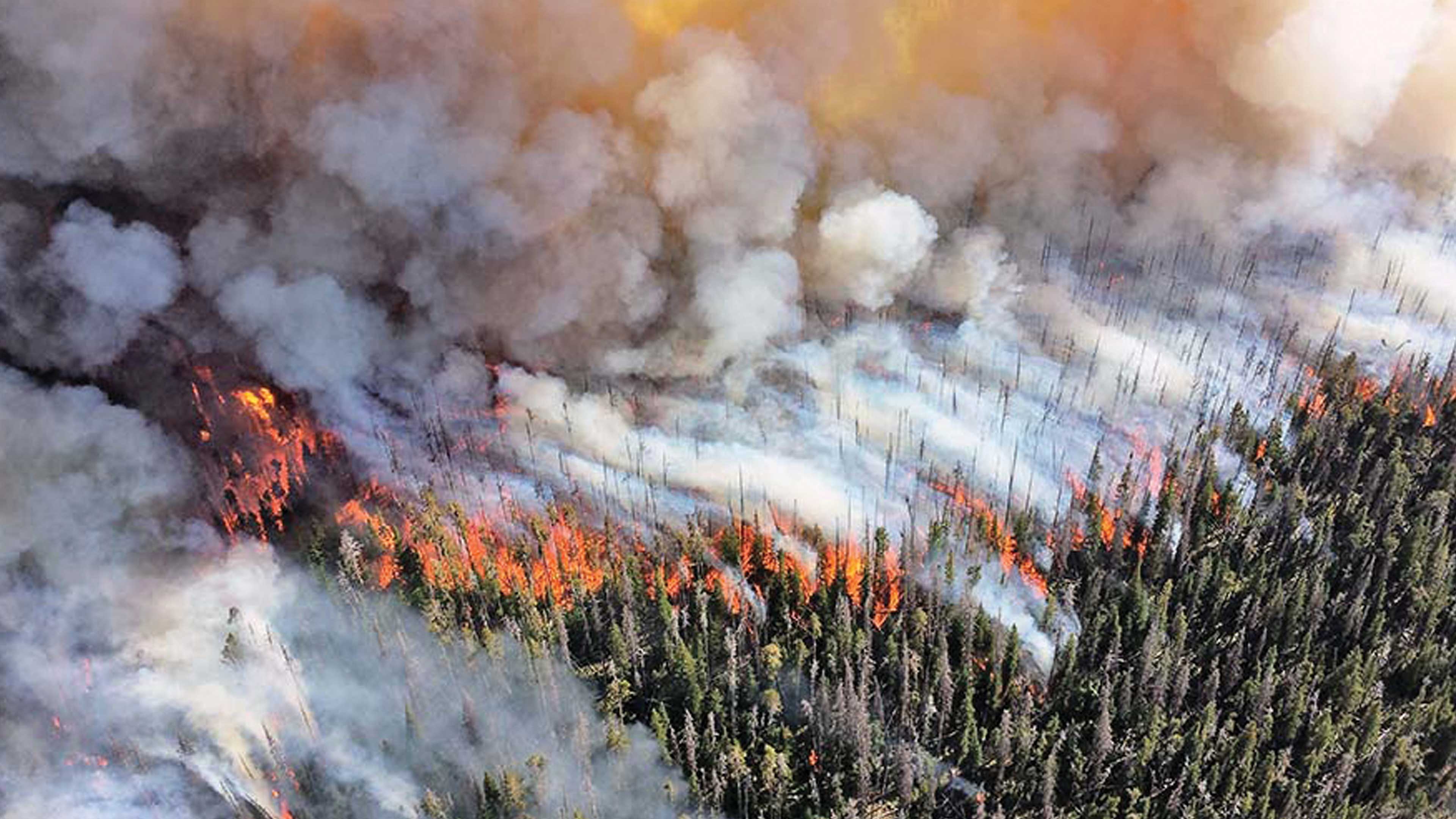 Incendios y cambio climático